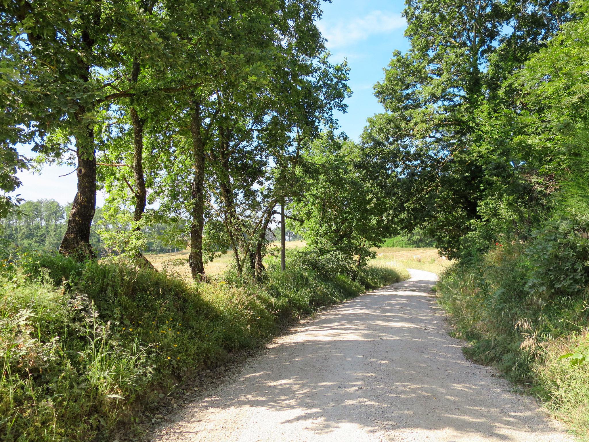 Photo 21 - 2 bedroom House in Orvieto with swimming pool and garden