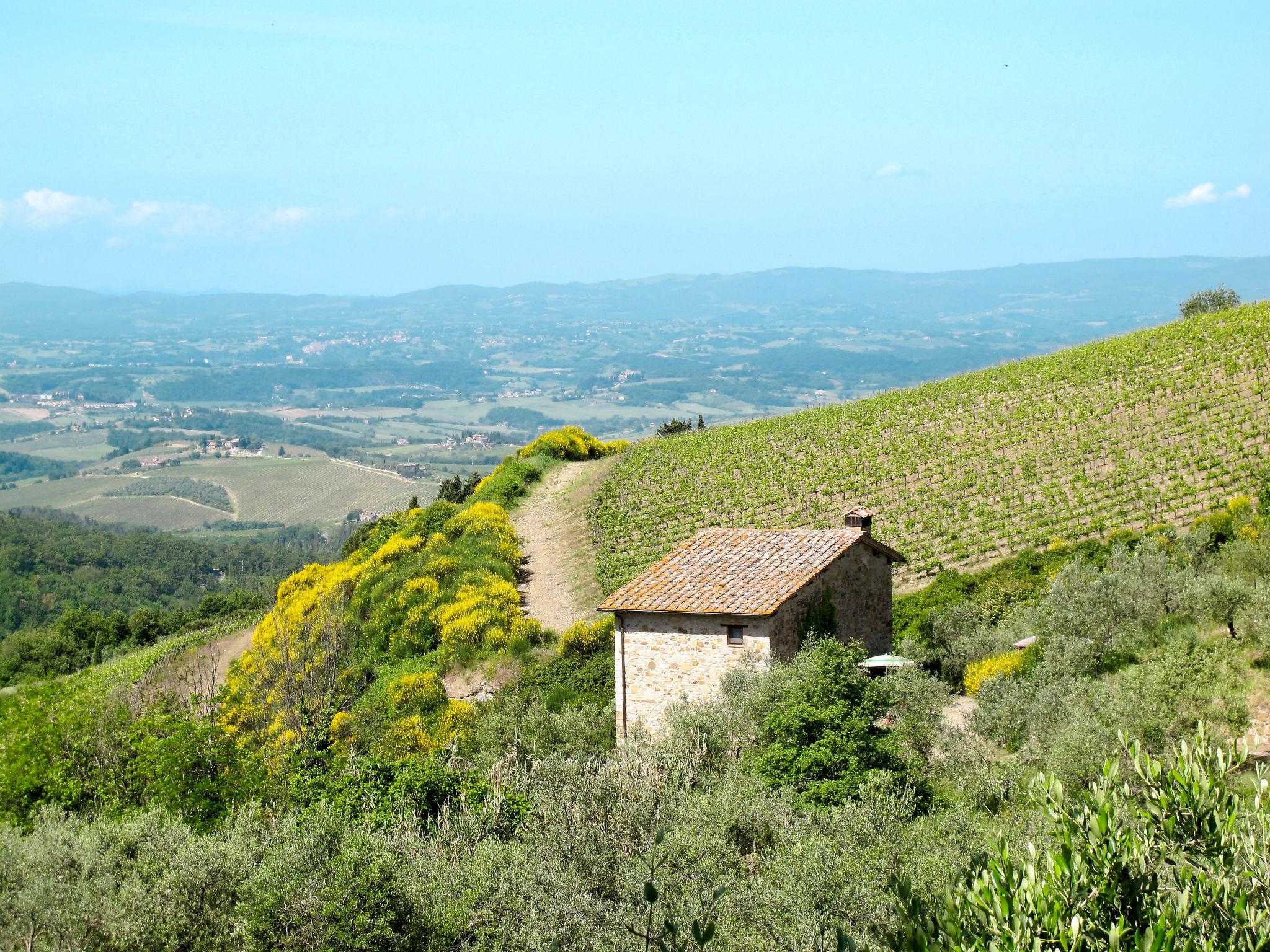 Foto 2 - Casa con 2 camere da letto a Castellina in Chianti con piscina e giardino