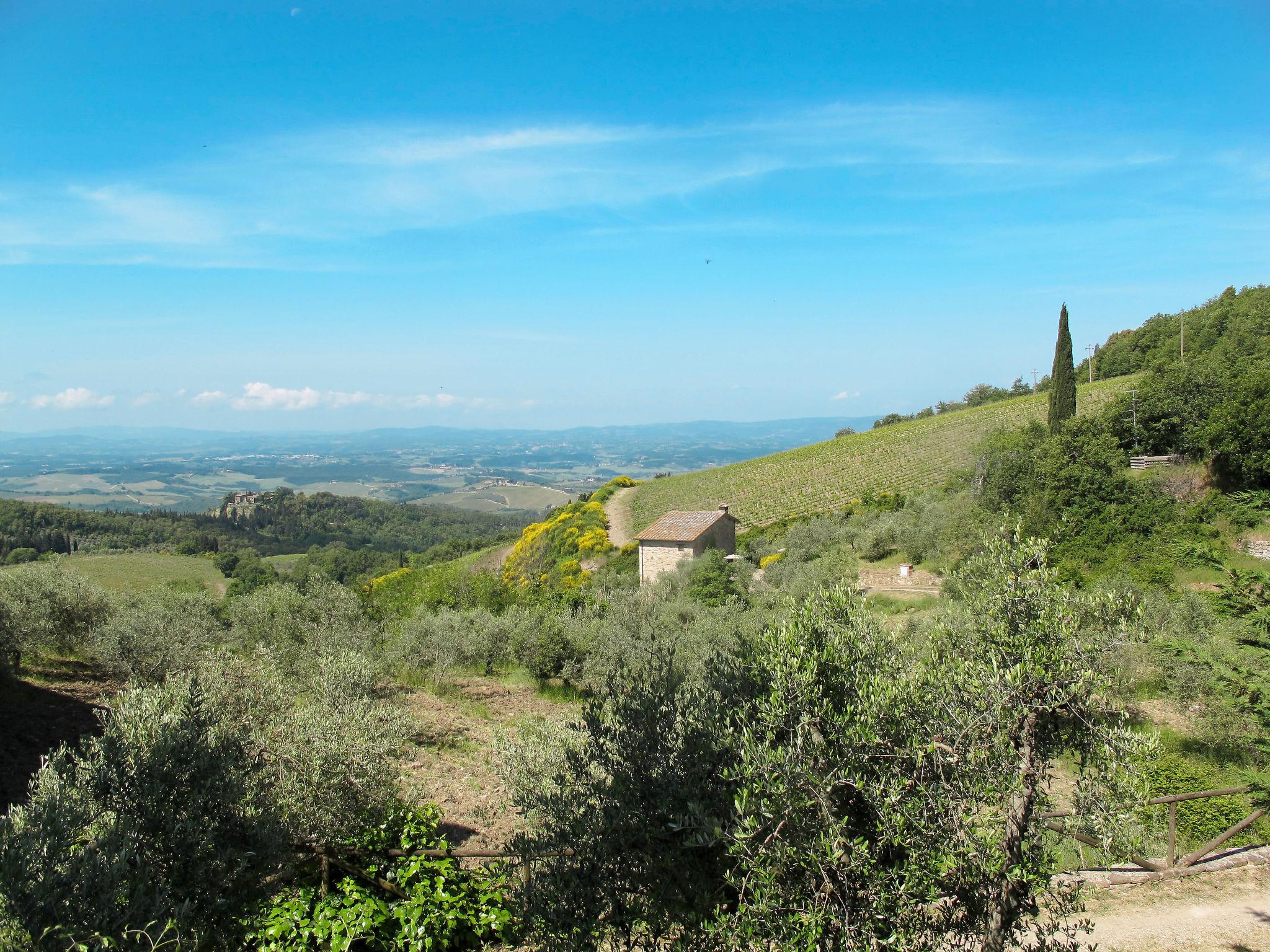 Photo 22 - 2 bedroom House in Castellina in Chianti with swimming pool and garden