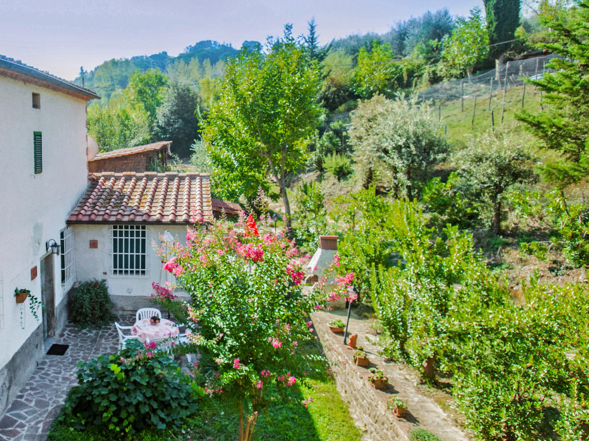 Foto 6 - Appartamento con 1 camera da letto a Montaione con piscina e giardino