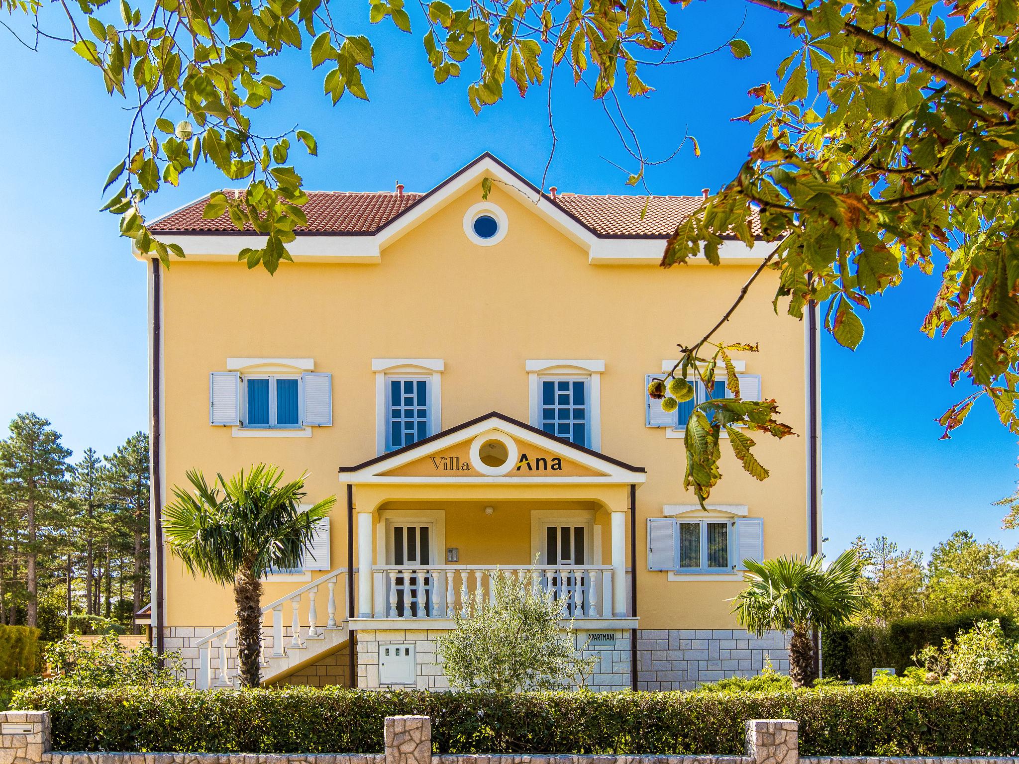 Photo 4 - Appartement de 1 chambre à Crikvenica avec piscine et jardin