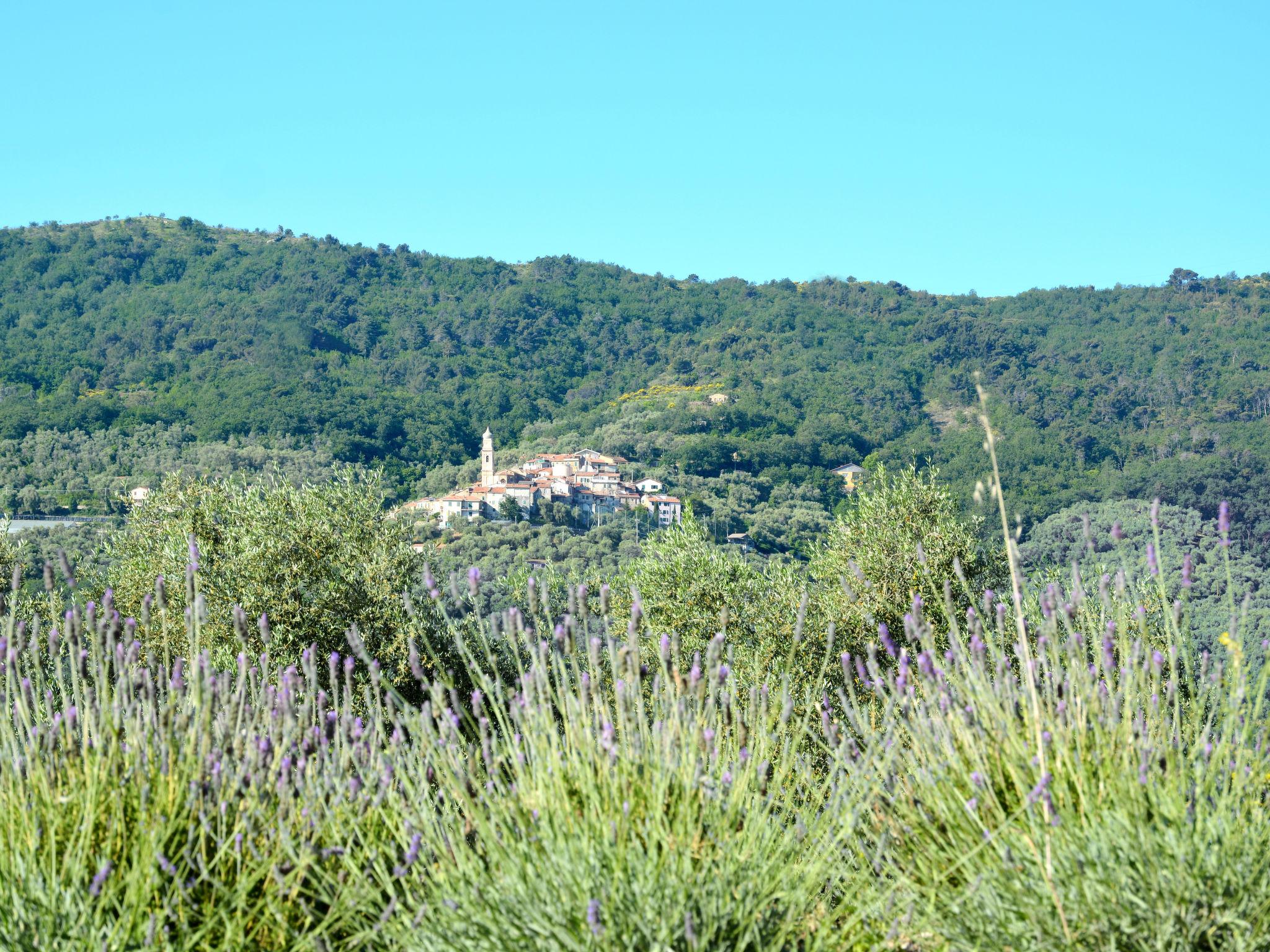 Photo 27 - 1 bedroom House in Pietrabruna with garden and terrace