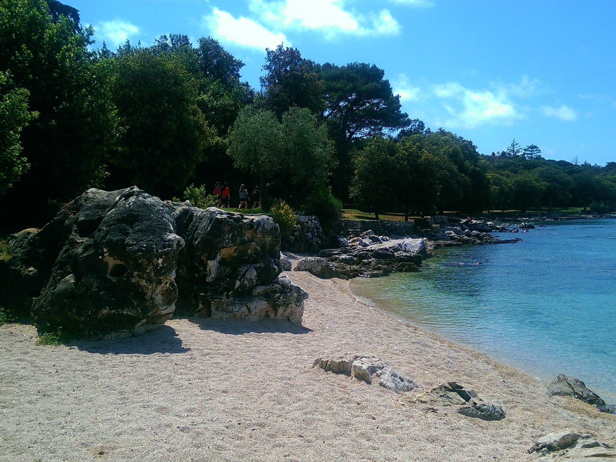 Foto 32 - Appartamento con 1 camera da letto a Rovinj con piscina e vista mare