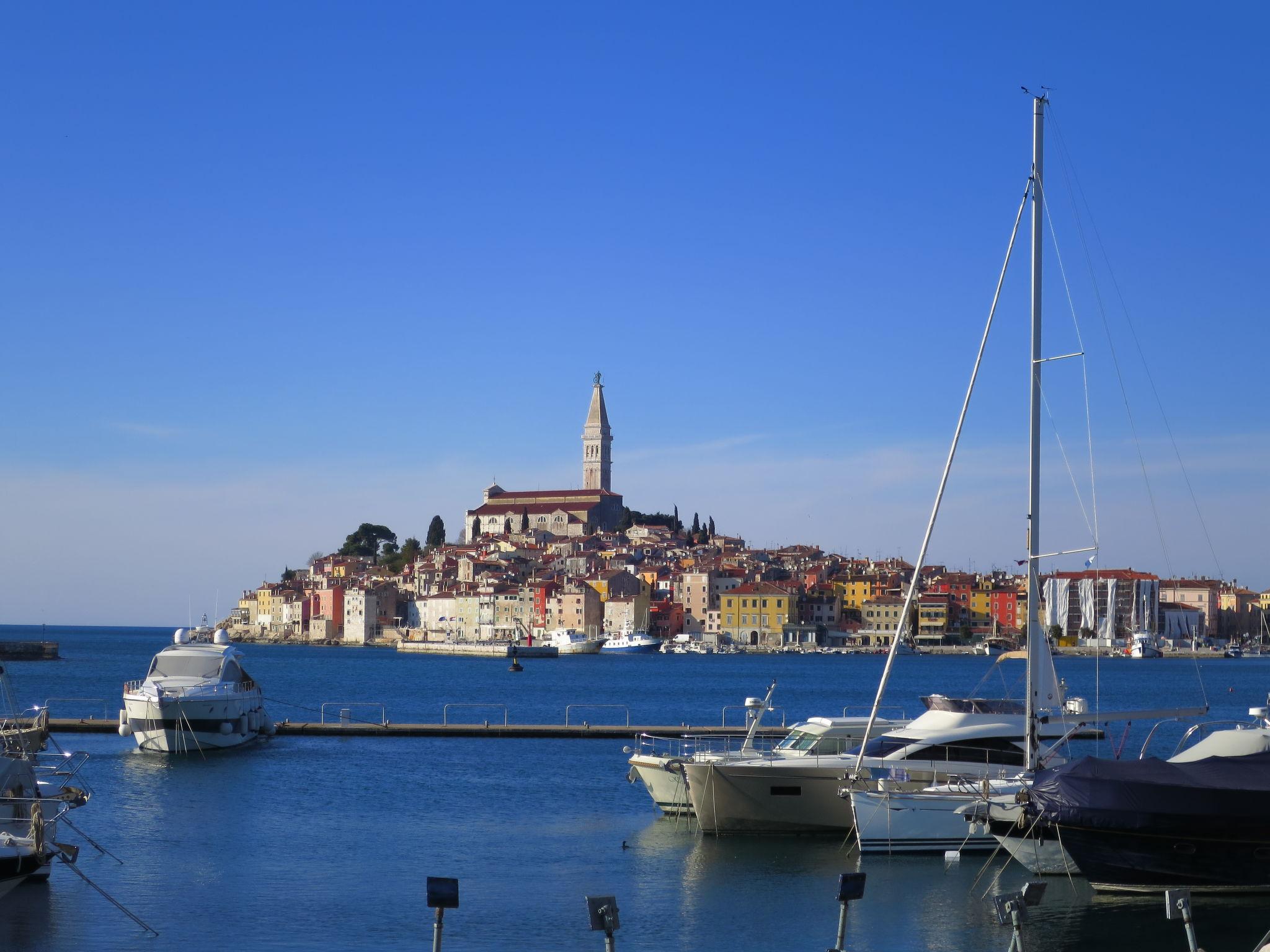 Foto 31 - Appartamento con 1 camera da letto a Rovinj con piscina e giardino