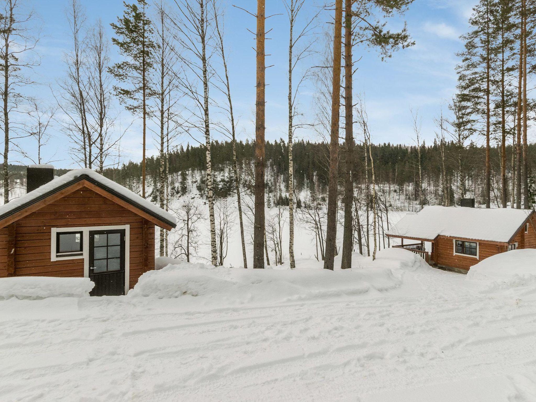 Photo 31 - Maison de 1 chambre à Enonkoski avec sauna