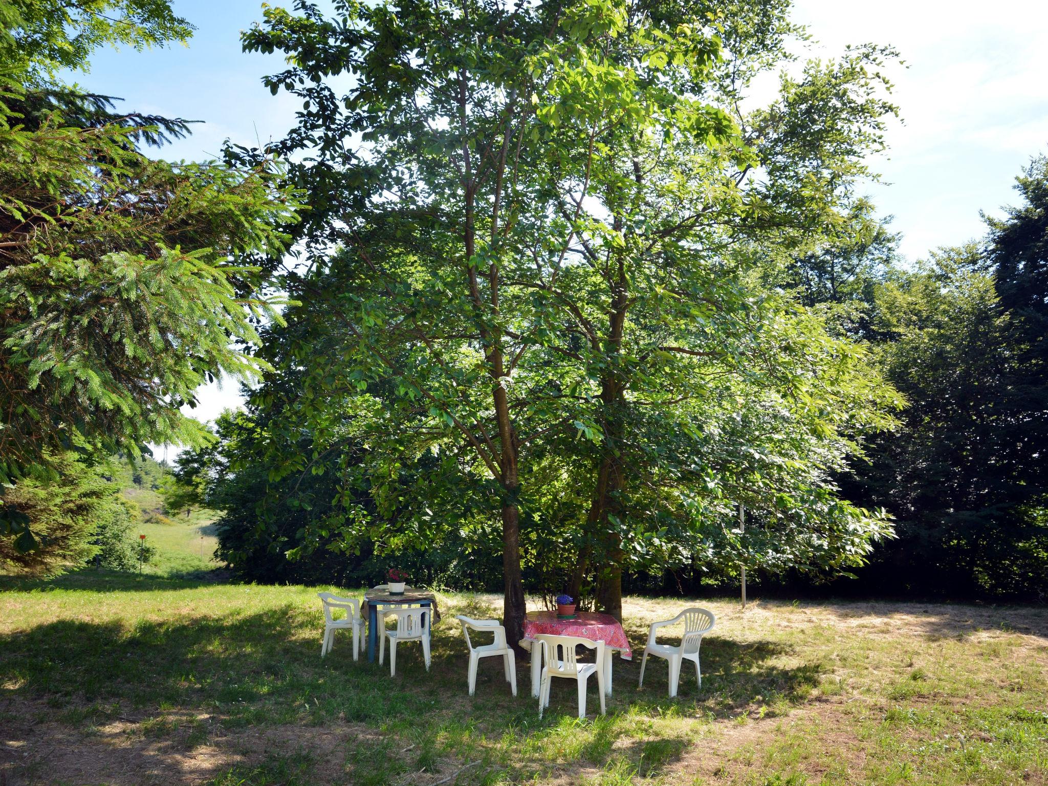 Foto 12 - Appartamento con 1 camera da letto a Savona con giardino