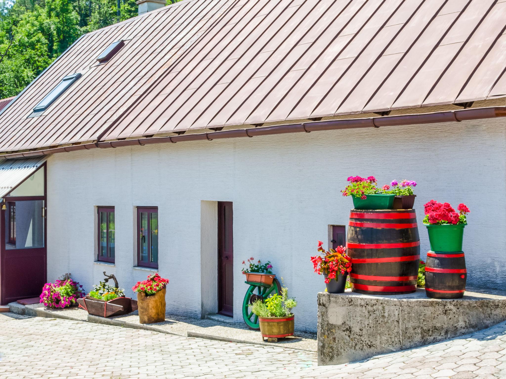 Photo 23 - Maison de 3 chambres à Fužine avec piscine privée et jardin