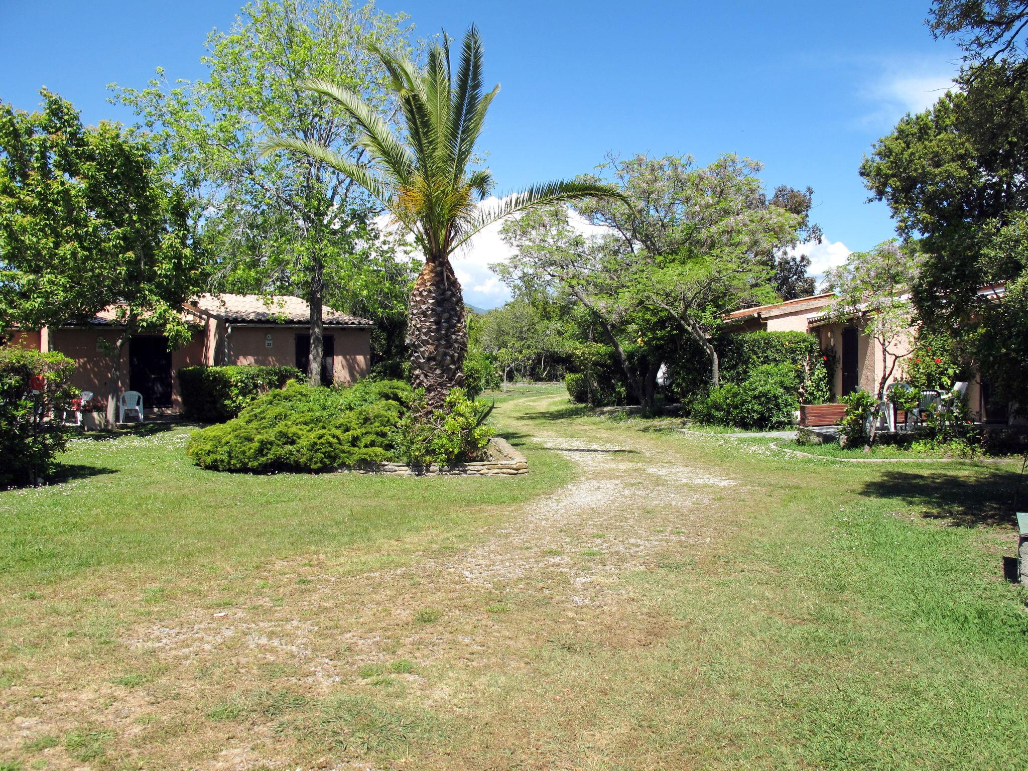 Photo 3 - Maison de 1 chambre à Talasani avec jardin et vues à la mer