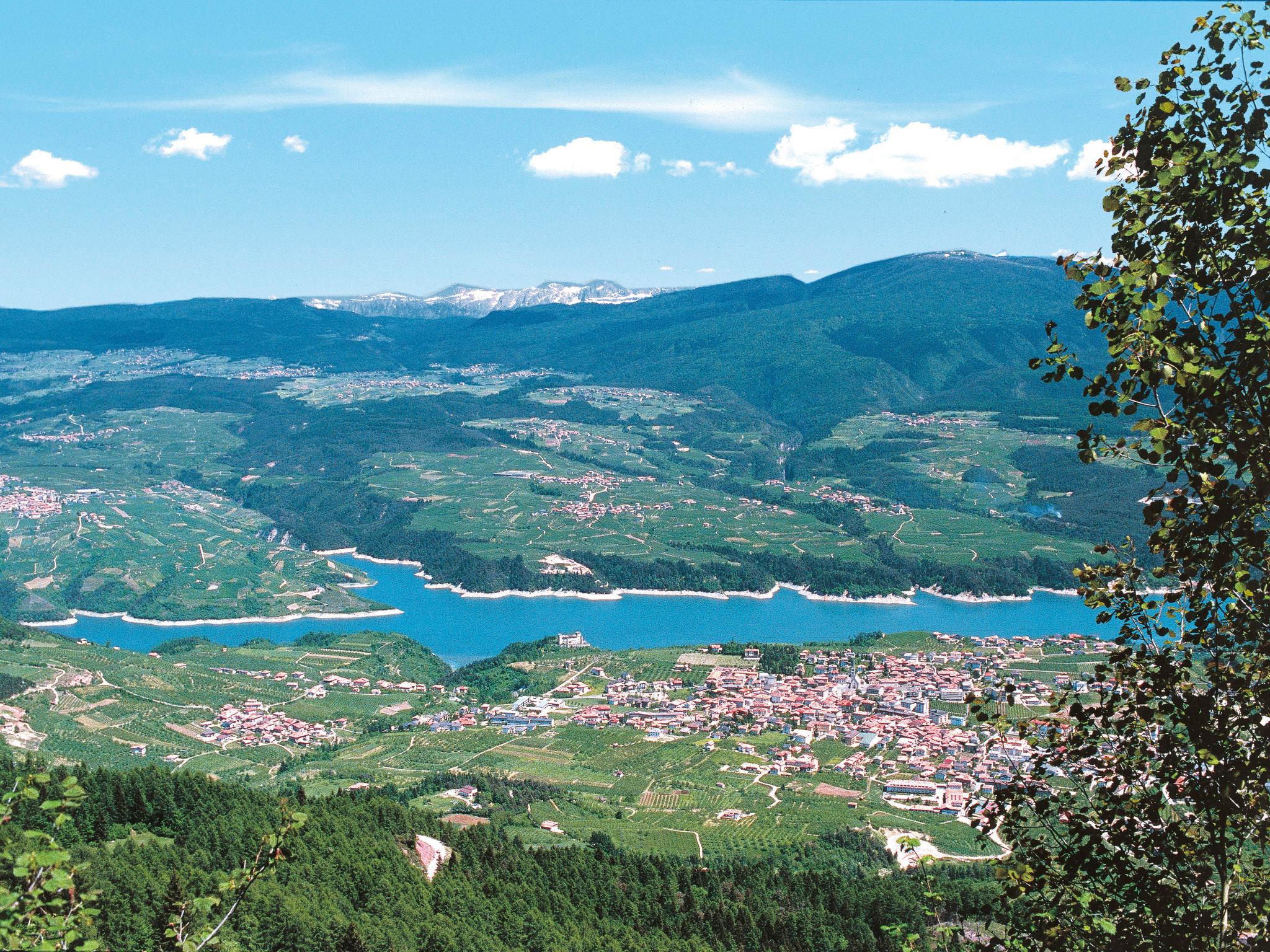 Foto 53 - Appartamento con 2 camere da letto a Ronzone con giardino e vista sulle montagne