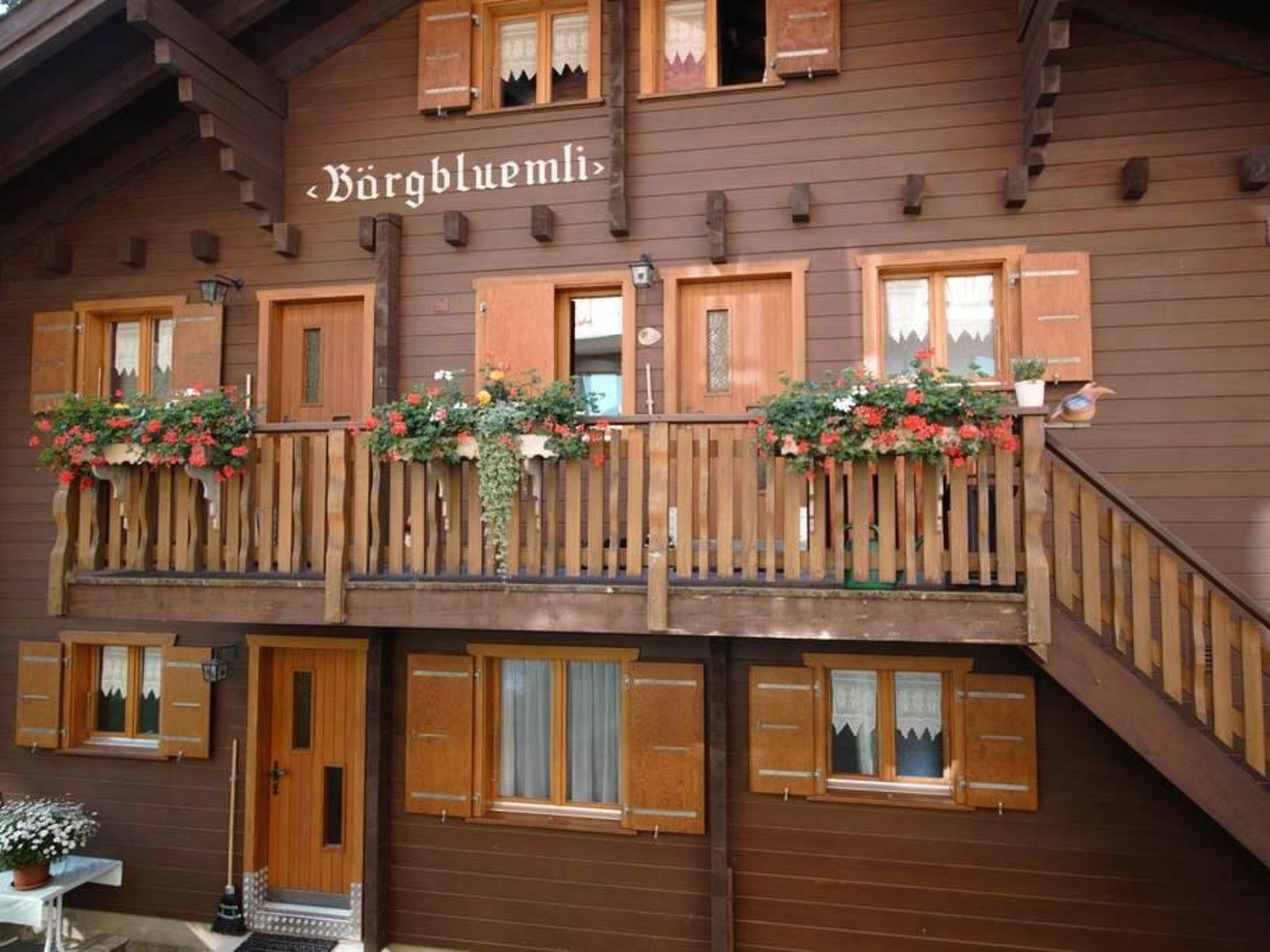 Foto 8 - Appartamento con 1 camera da letto a Bettmeralp