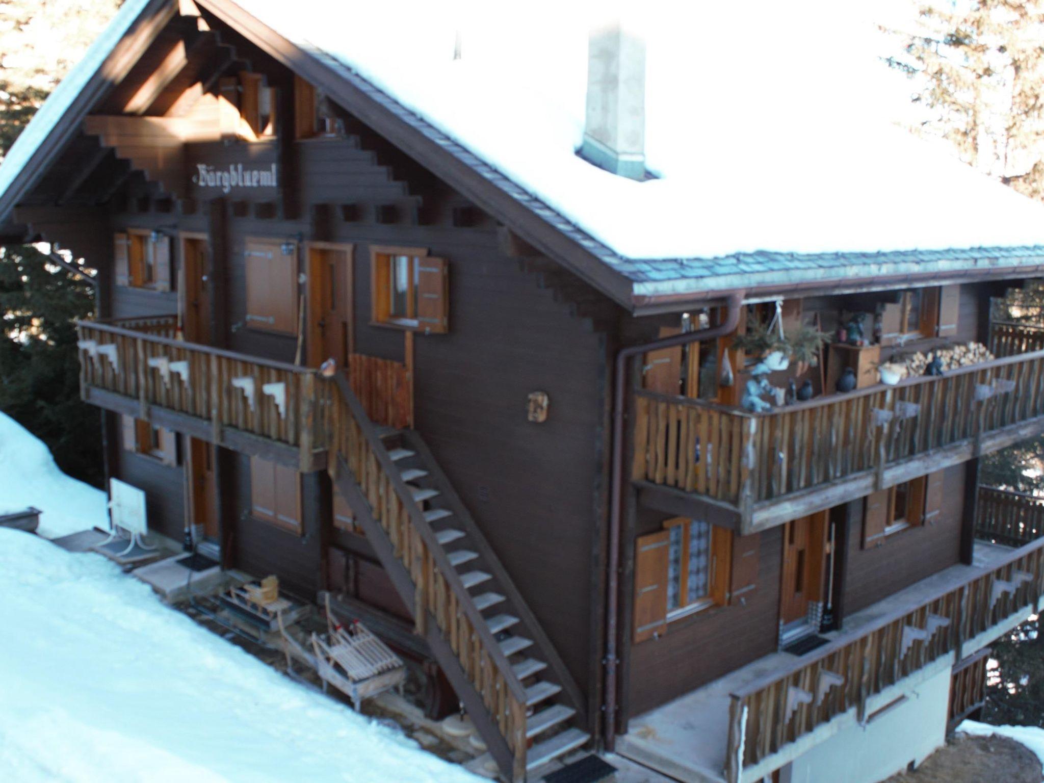 Foto 15 - Apartamento de 2 habitaciones en Bettmeralp