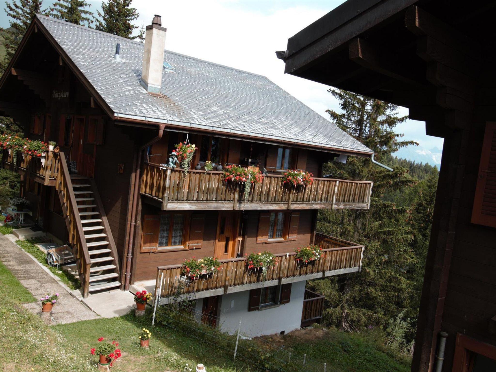 Foto 14 - Apartamento de 2 quartos em Bettmeralp