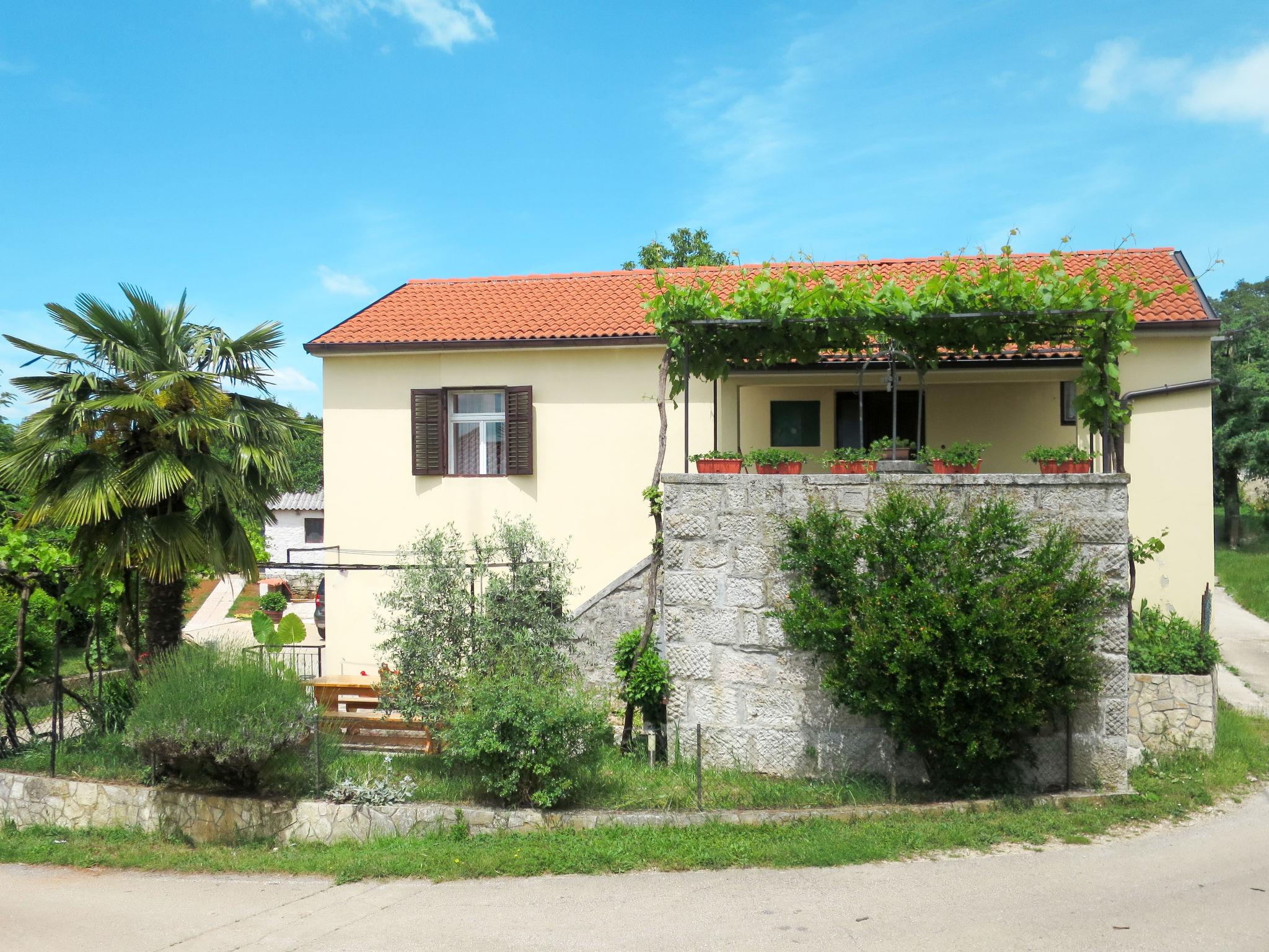 Foto 35 - Casa con 4 camere da letto a Pićan con piscina privata e giardino