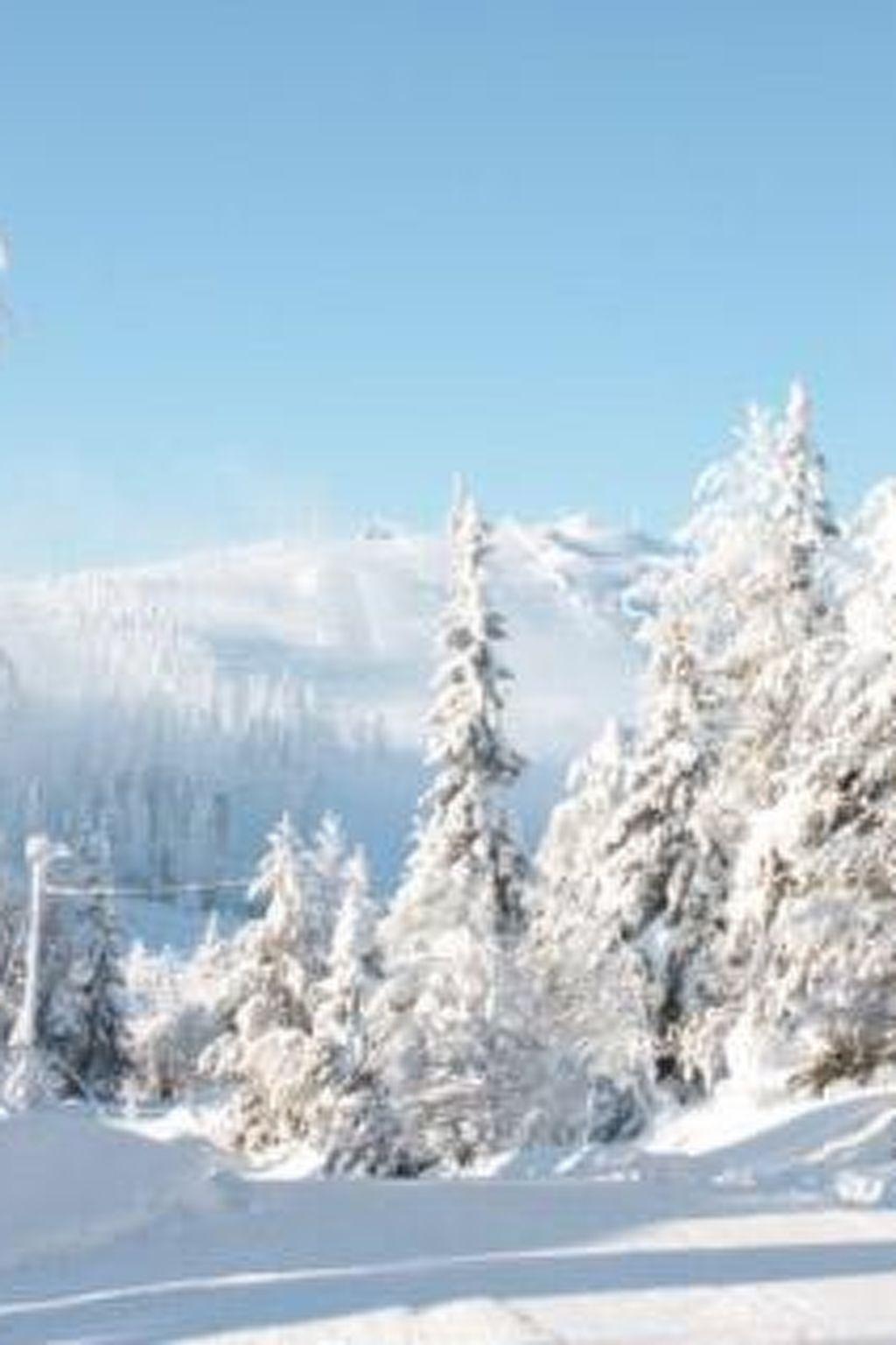 Photo 24 - Maison de 4 chambres à Kuusamo avec sauna et vues sur la montagne