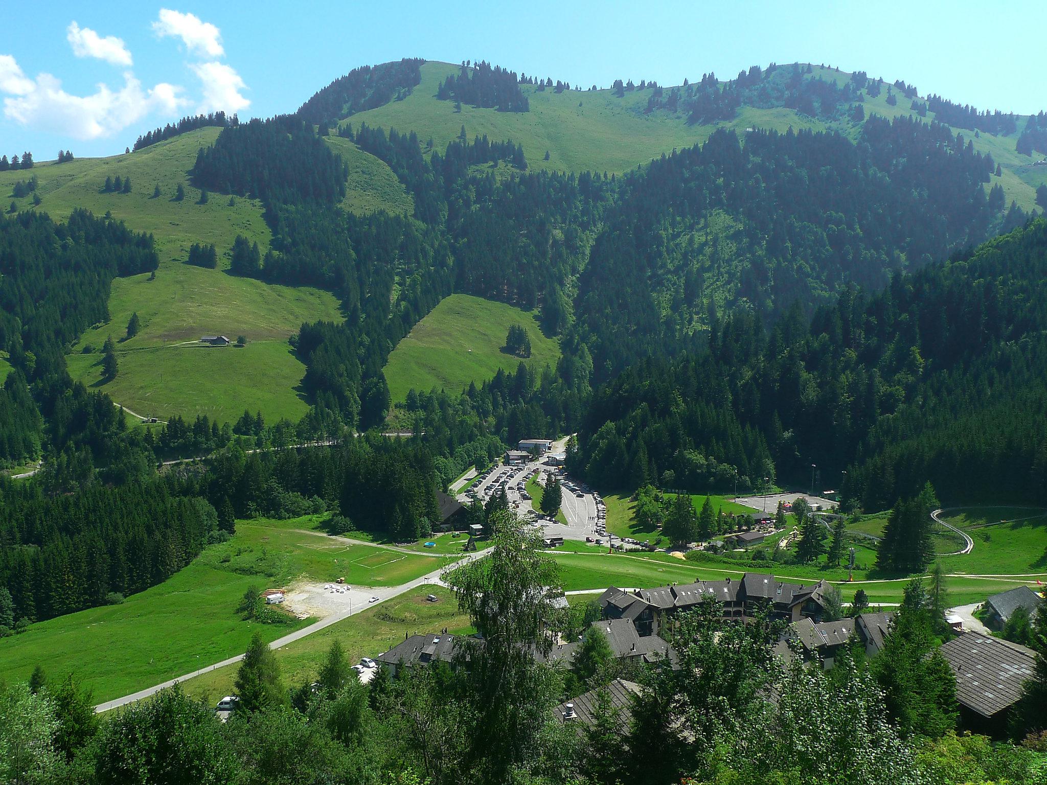 Photo 18 - Maison de 3 chambres à Gruyères avec terrasse et vues sur la montagne