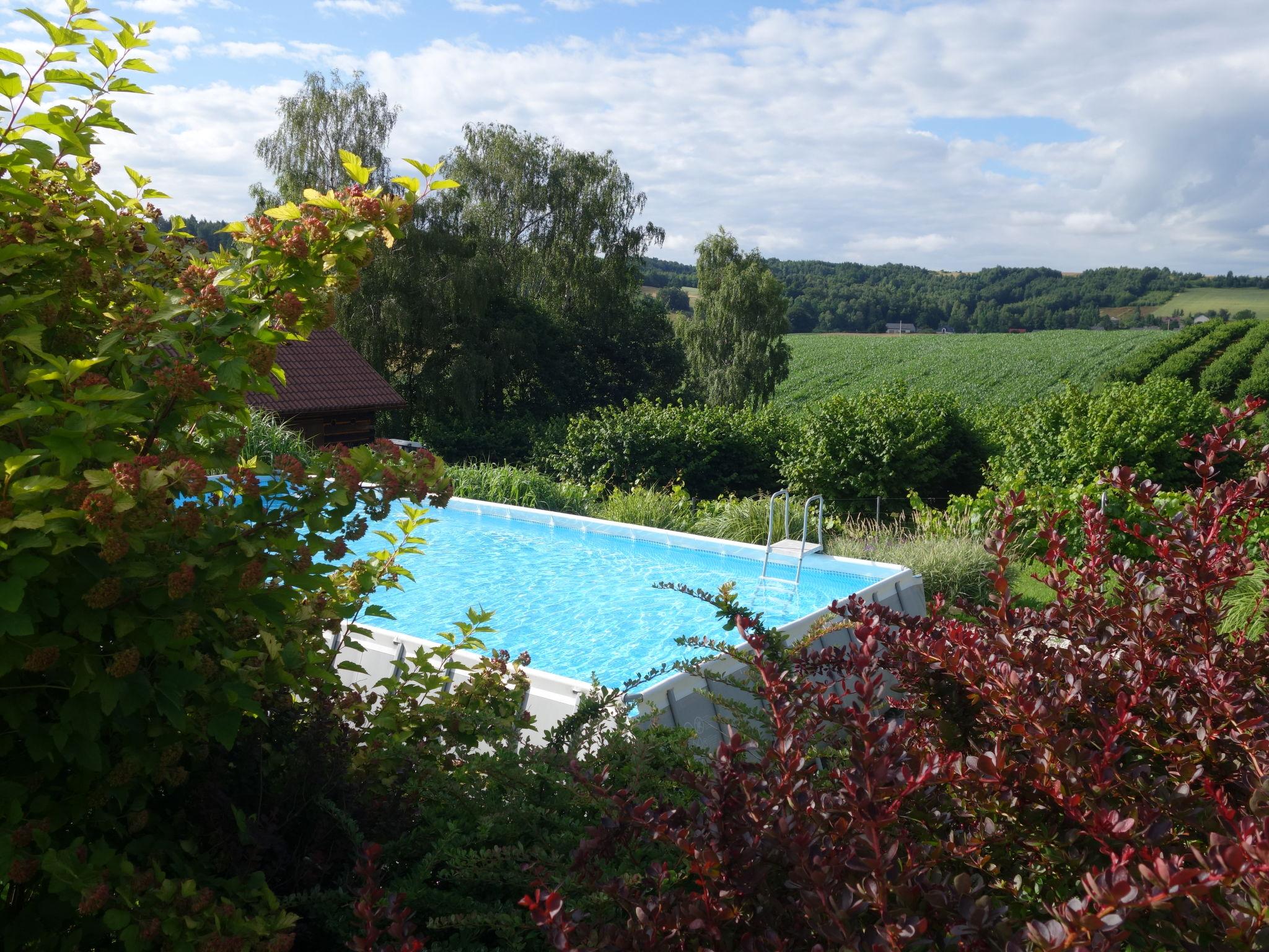 Foto 46 - Haus mit 5 Schlafzimmern in Pilica mit schwimmbad und garten