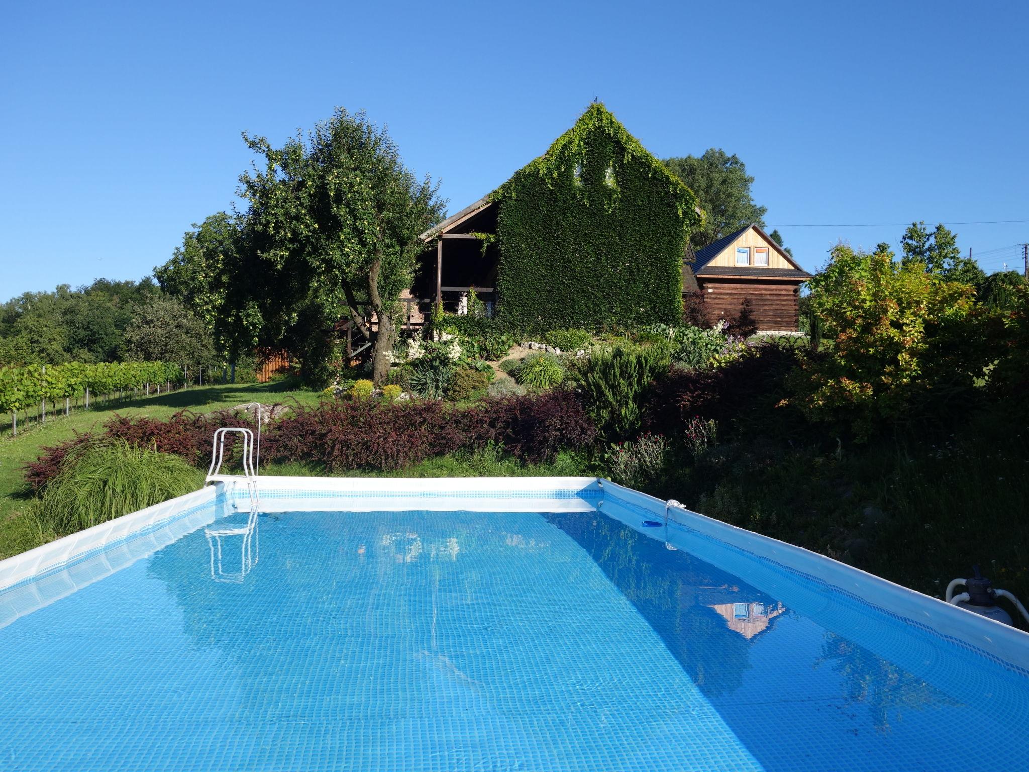 Foto 47 - Casa con 5 camere da letto a Pilica con piscina e giardino