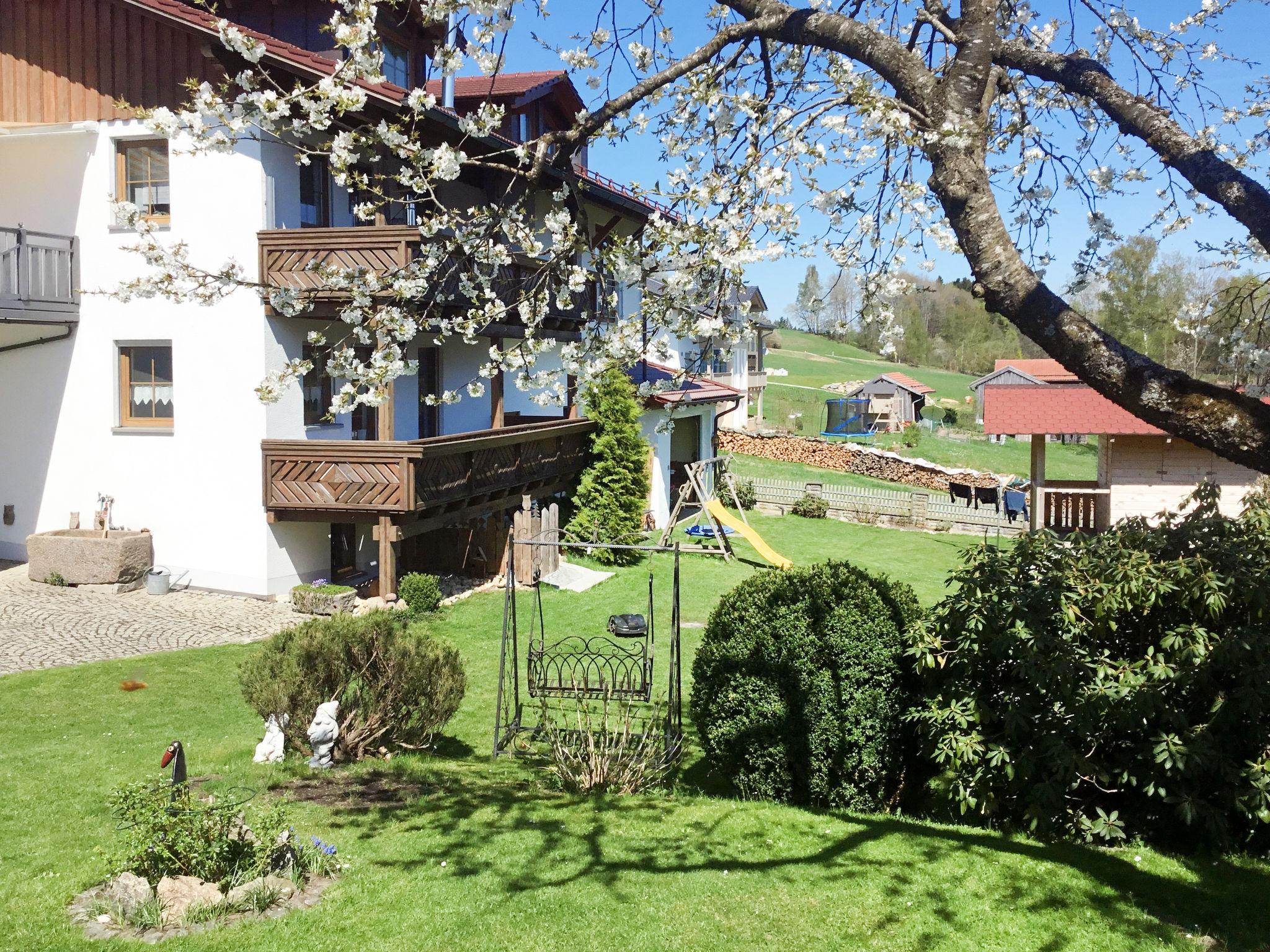 Photo 20 - 1 bedroom Apartment in Bischofsmais with garden and mountain view