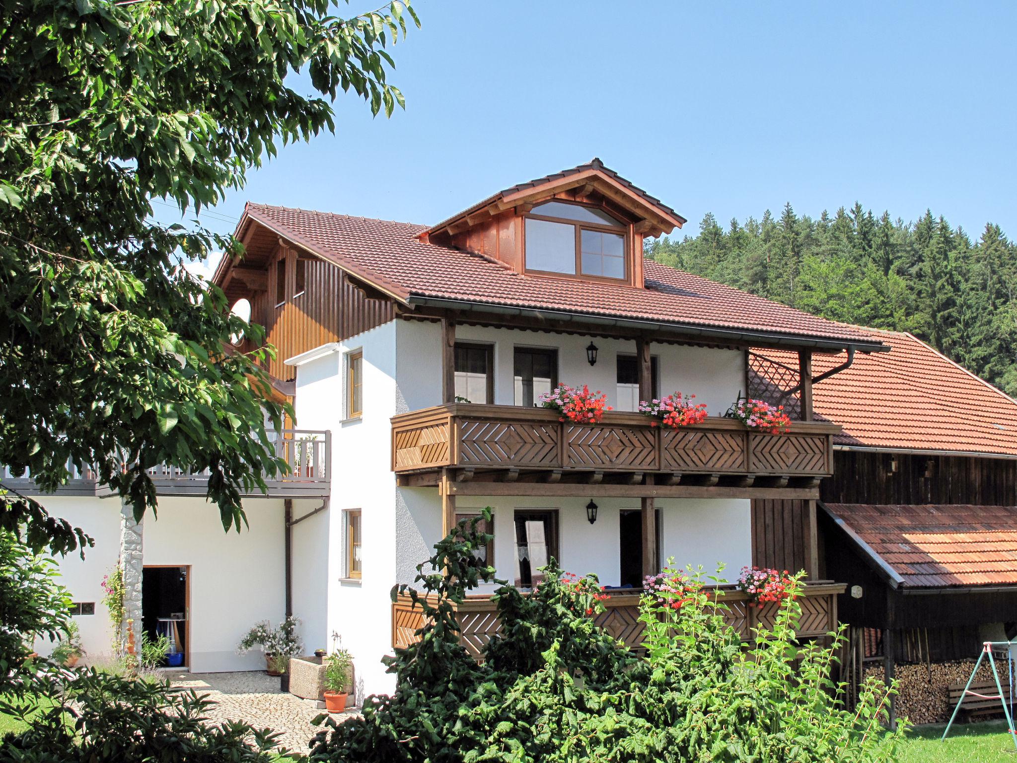 Foto 1 - Appartamento con 2 camere da letto a Bischofsmais con giardino e vista sulle montagne