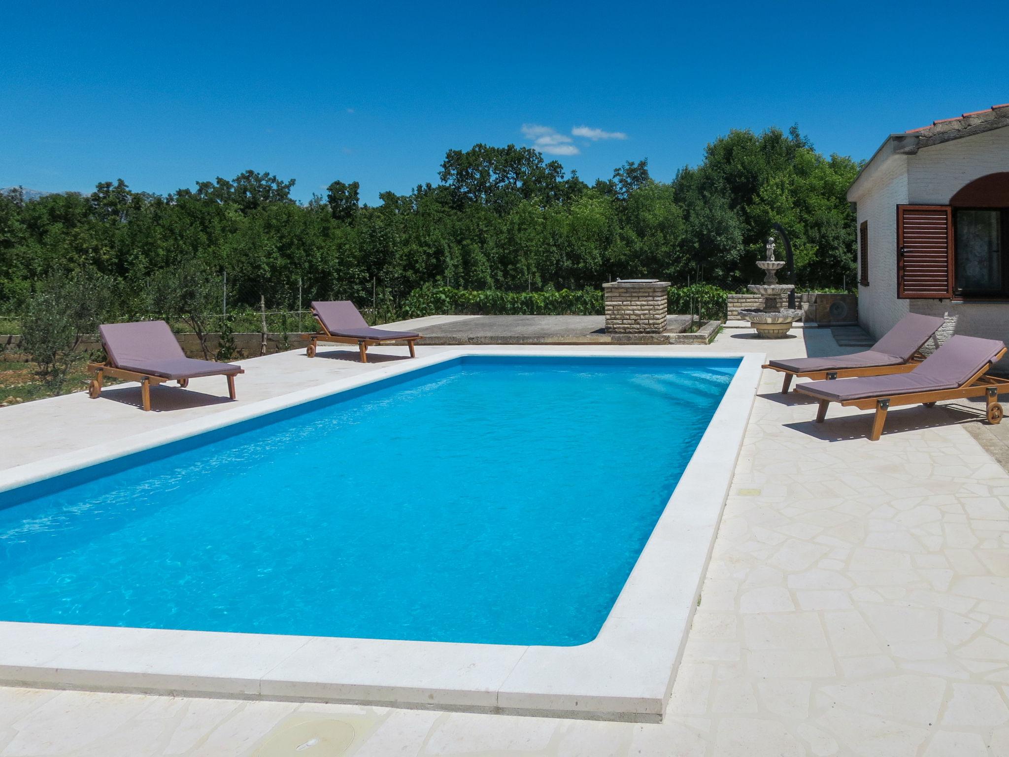 Photo 2 - Maison de 4 chambres à Novigrad avec piscine privée et vues à la mer