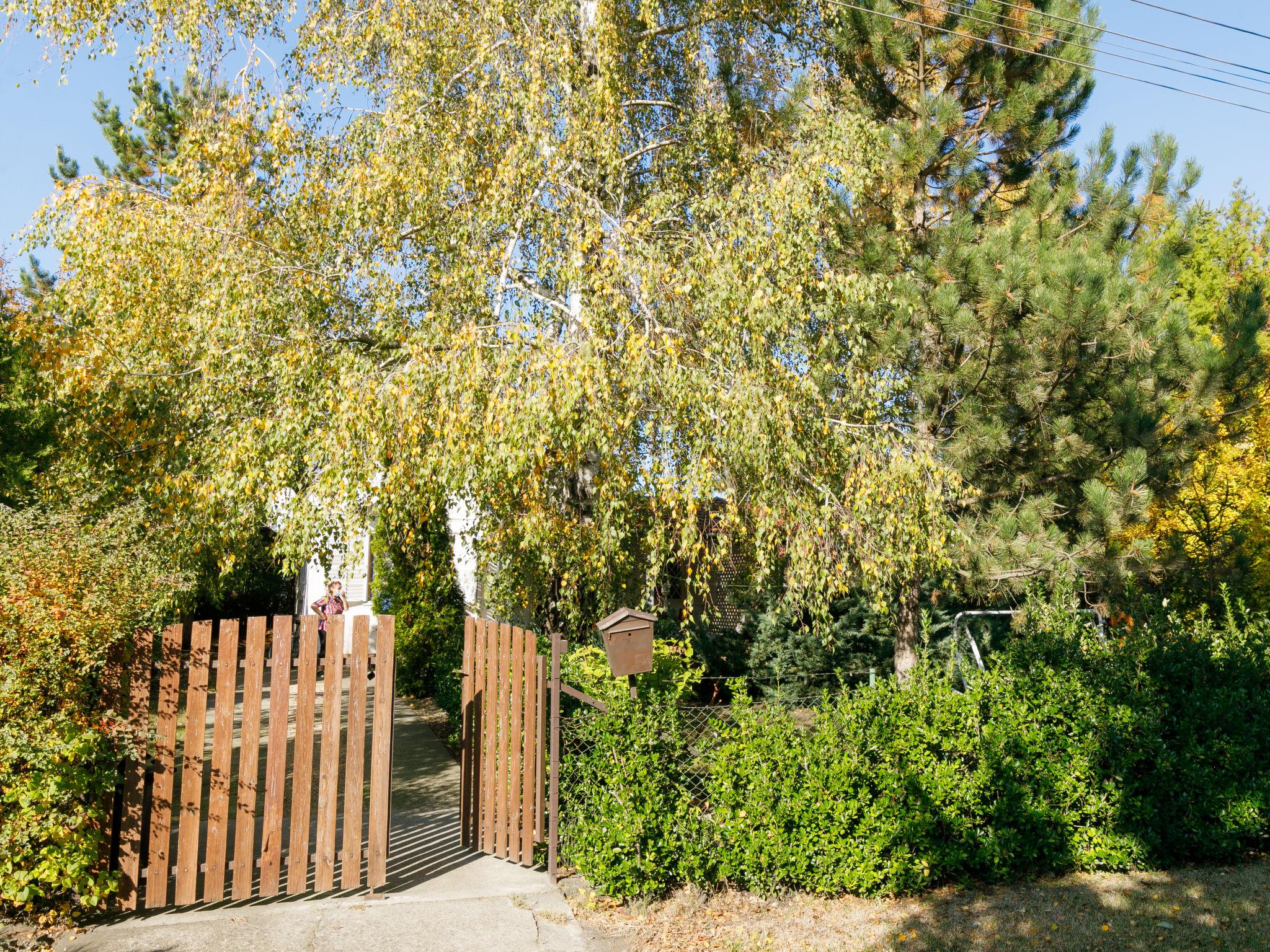 Photo 14 - Maison de 3 chambres à Balatonfenyves avec jardin et terrasse