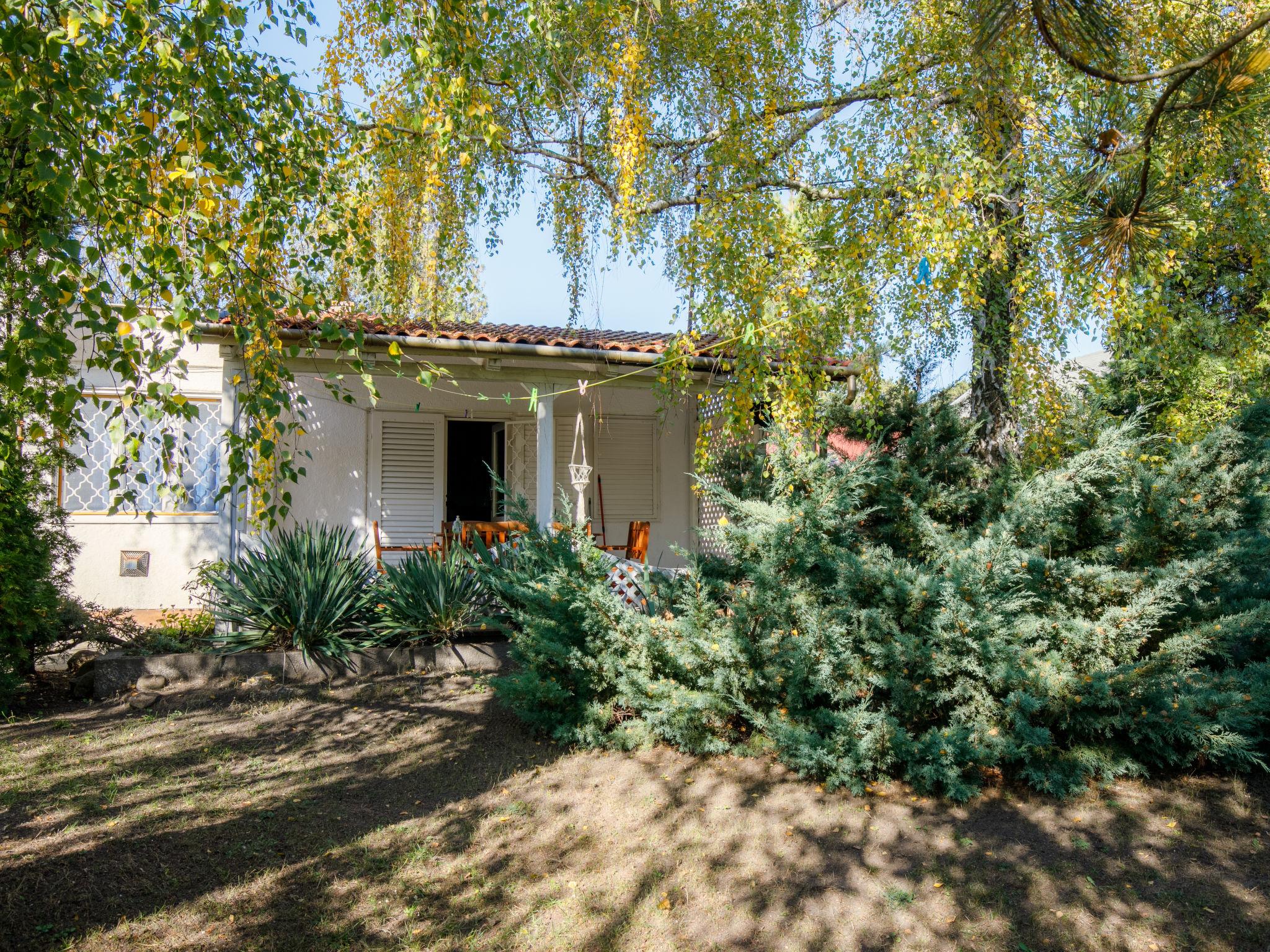 Foto 13 - Casa con 3 camere da letto a Balatonfenyves con giardino e terrazza