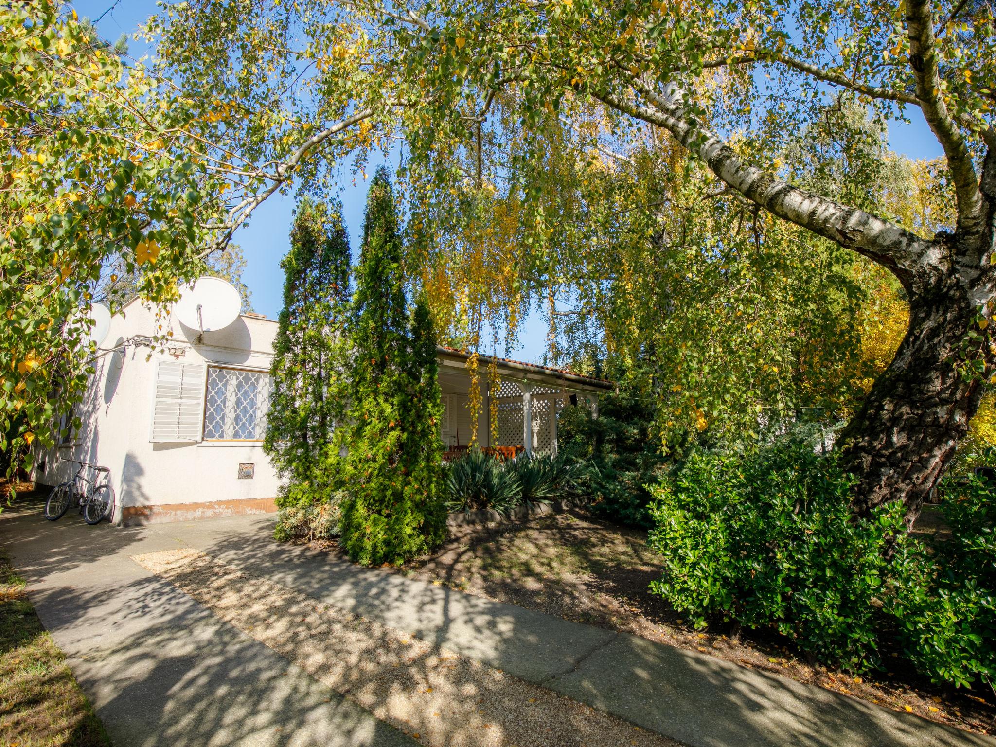 Photo 1 - Maison de 3 chambres à Balatonfenyves avec jardin et terrasse