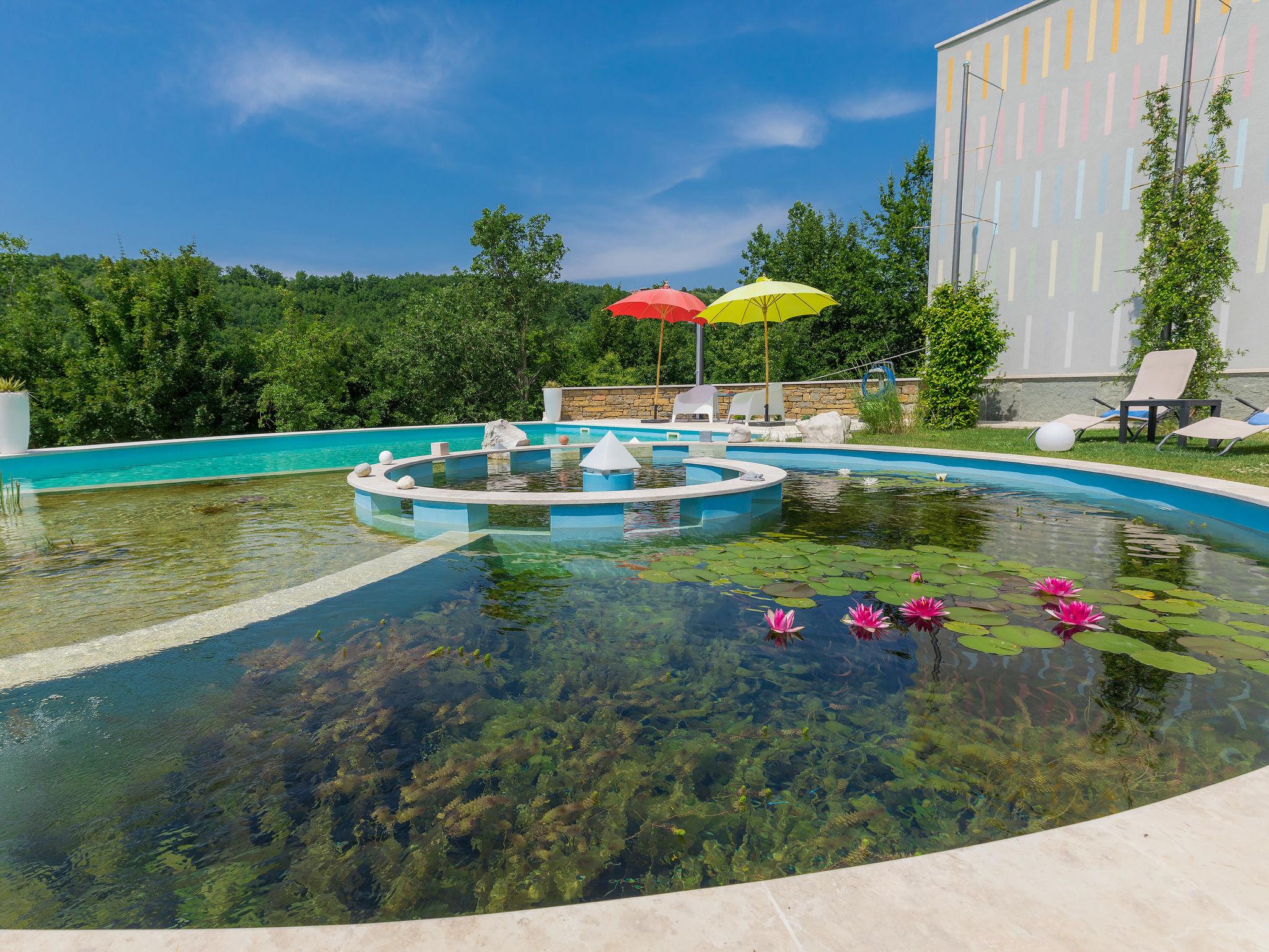 Foto 20 - Casa con 3 camere da letto a Buje con piscina privata e giardino