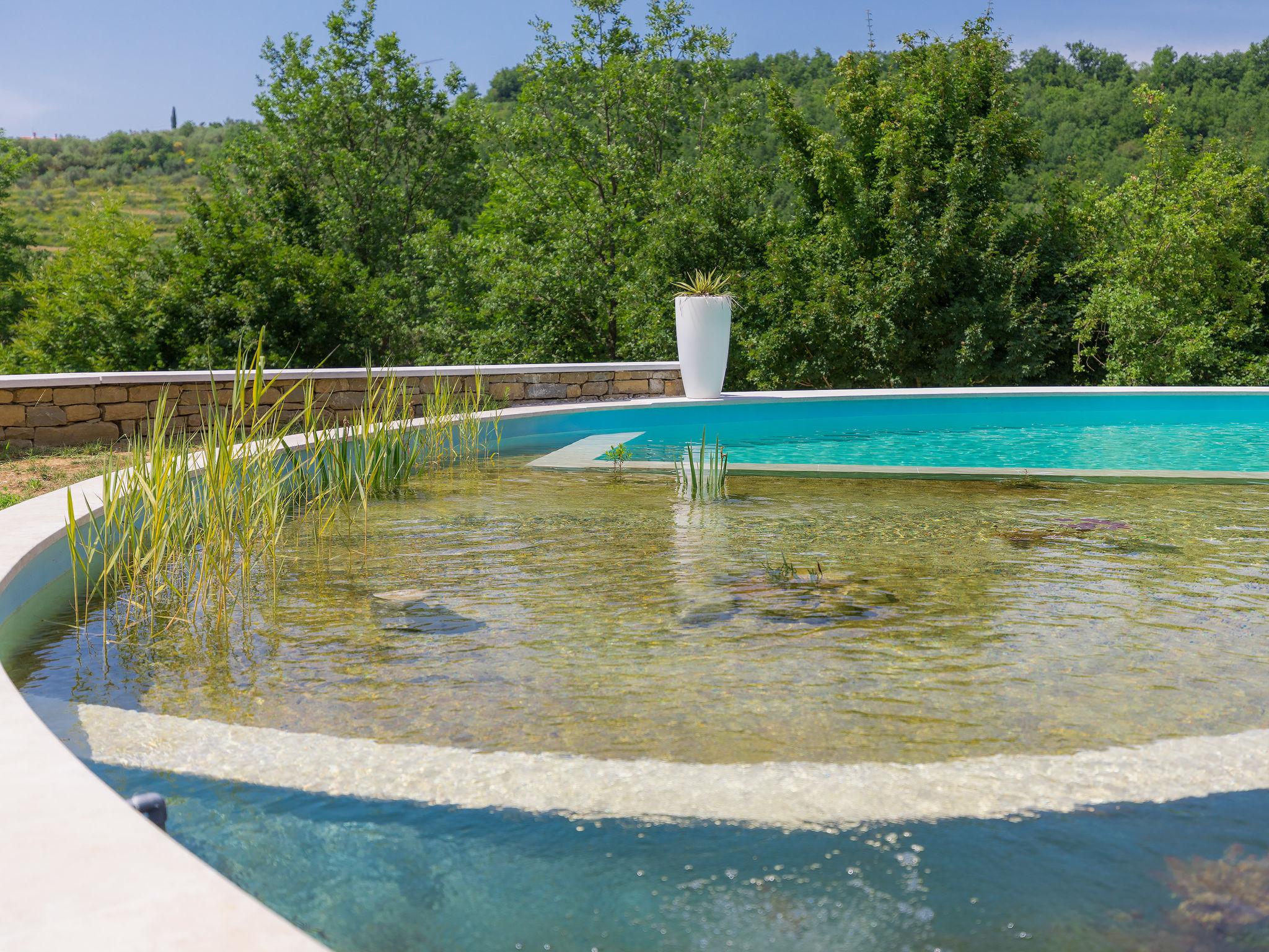 Foto 37 - Casa con 3 camere da letto a Buje con piscina privata e giardino