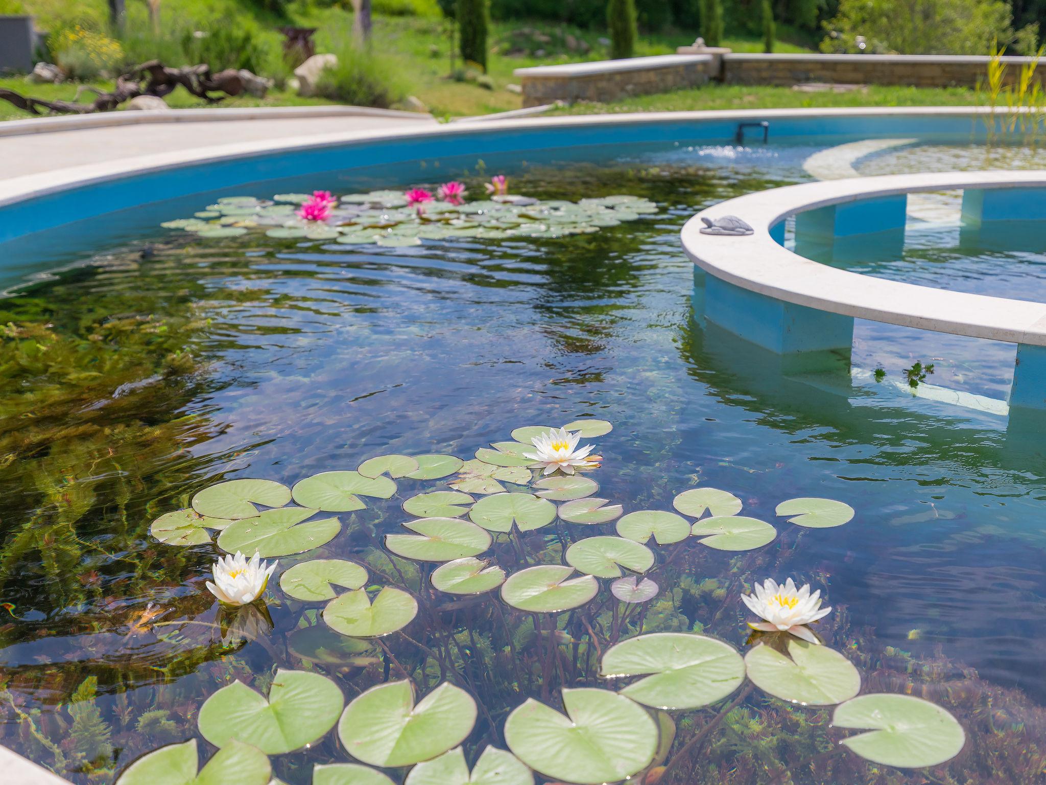 Photo 36 - Maison de 3 chambres à Buje avec piscine privée et jardin