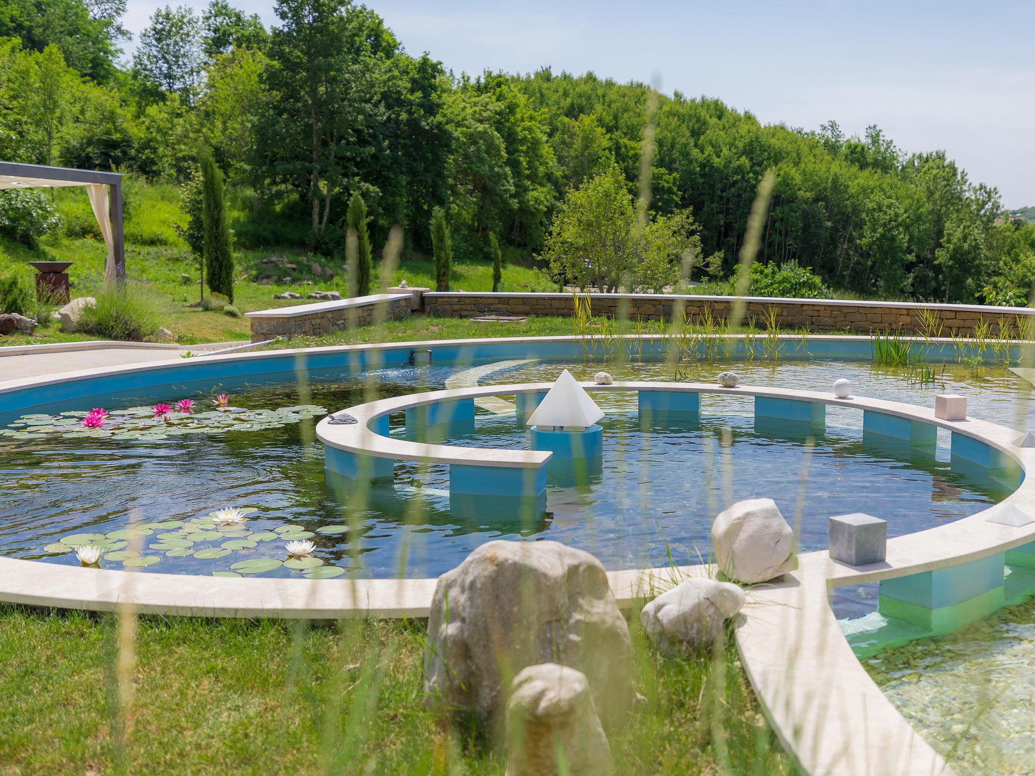 Foto 19 - Casa con 3 camere da letto a Buje con piscina privata e giardino