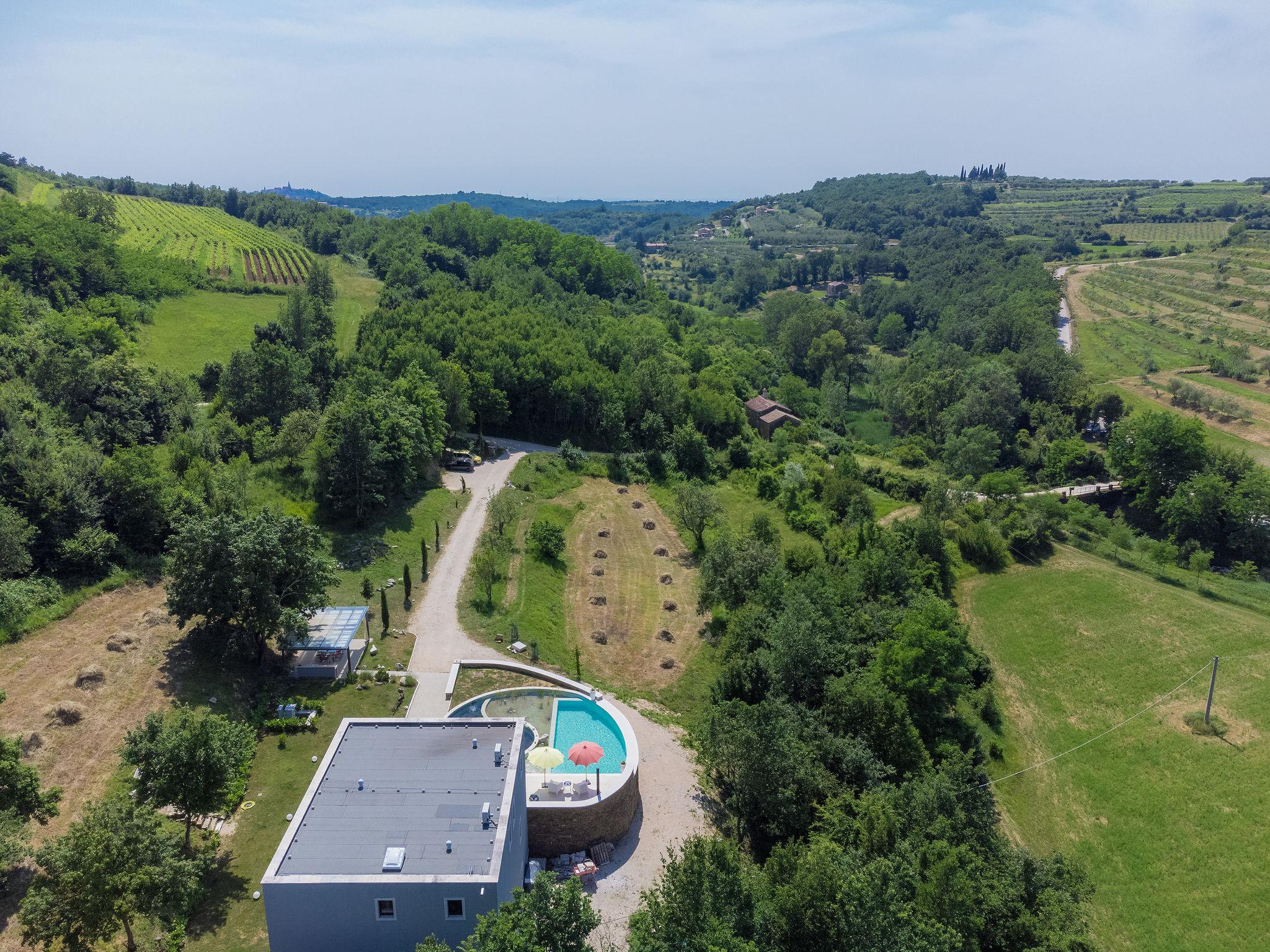 Photo 24 - Maison de 3 chambres à Buje avec piscine privée et jardin