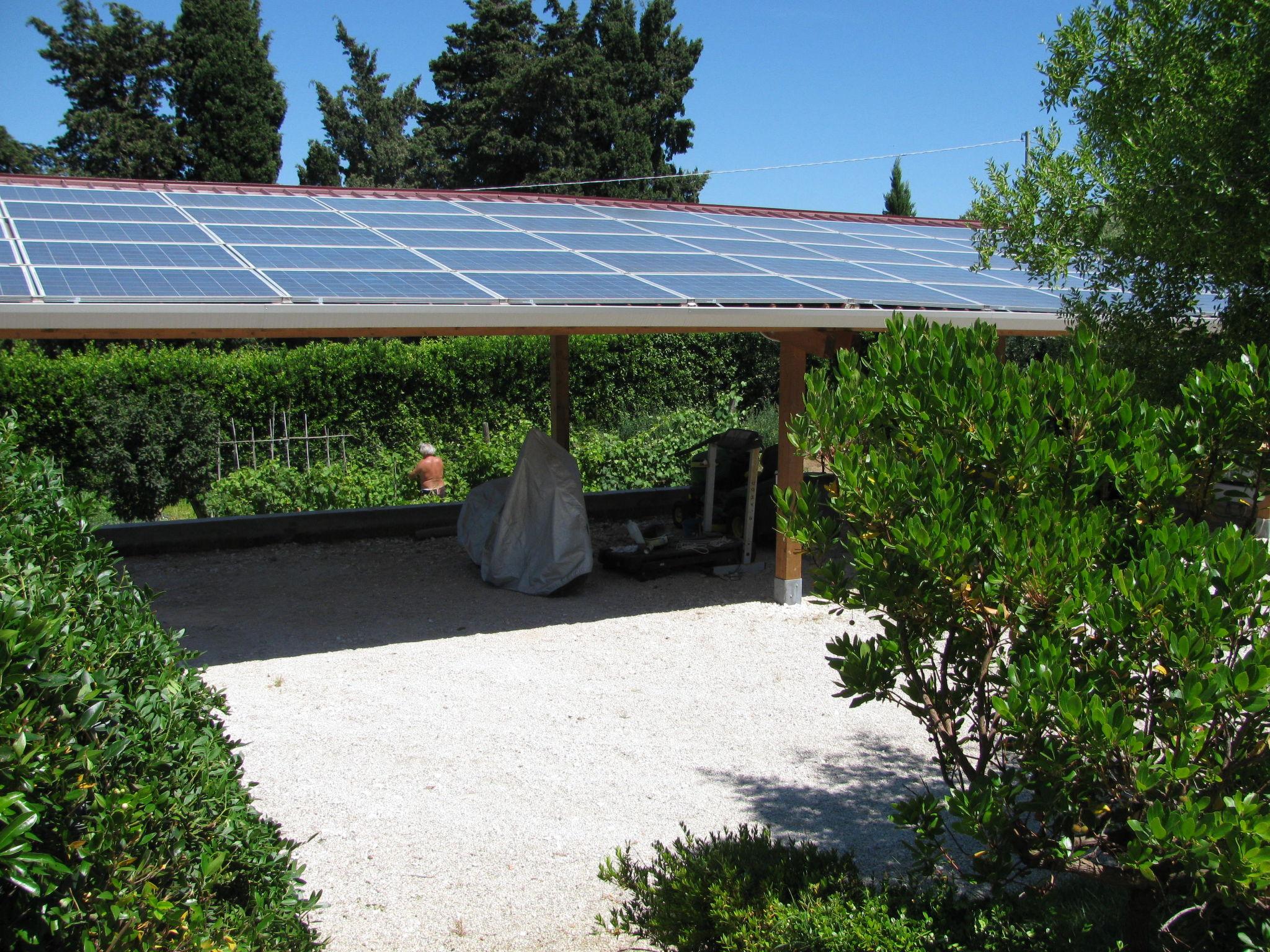 Photo 39 - Maison de 5 chambres à Cecina avec piscine privée et jardin