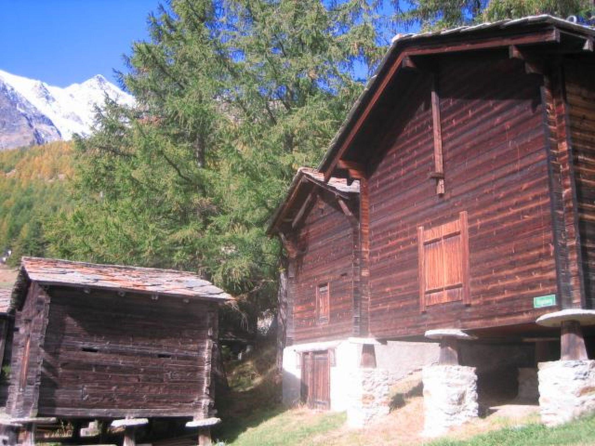 Foto 18 - Apartment mit 1 Schlafzimmer in Saas-Fee