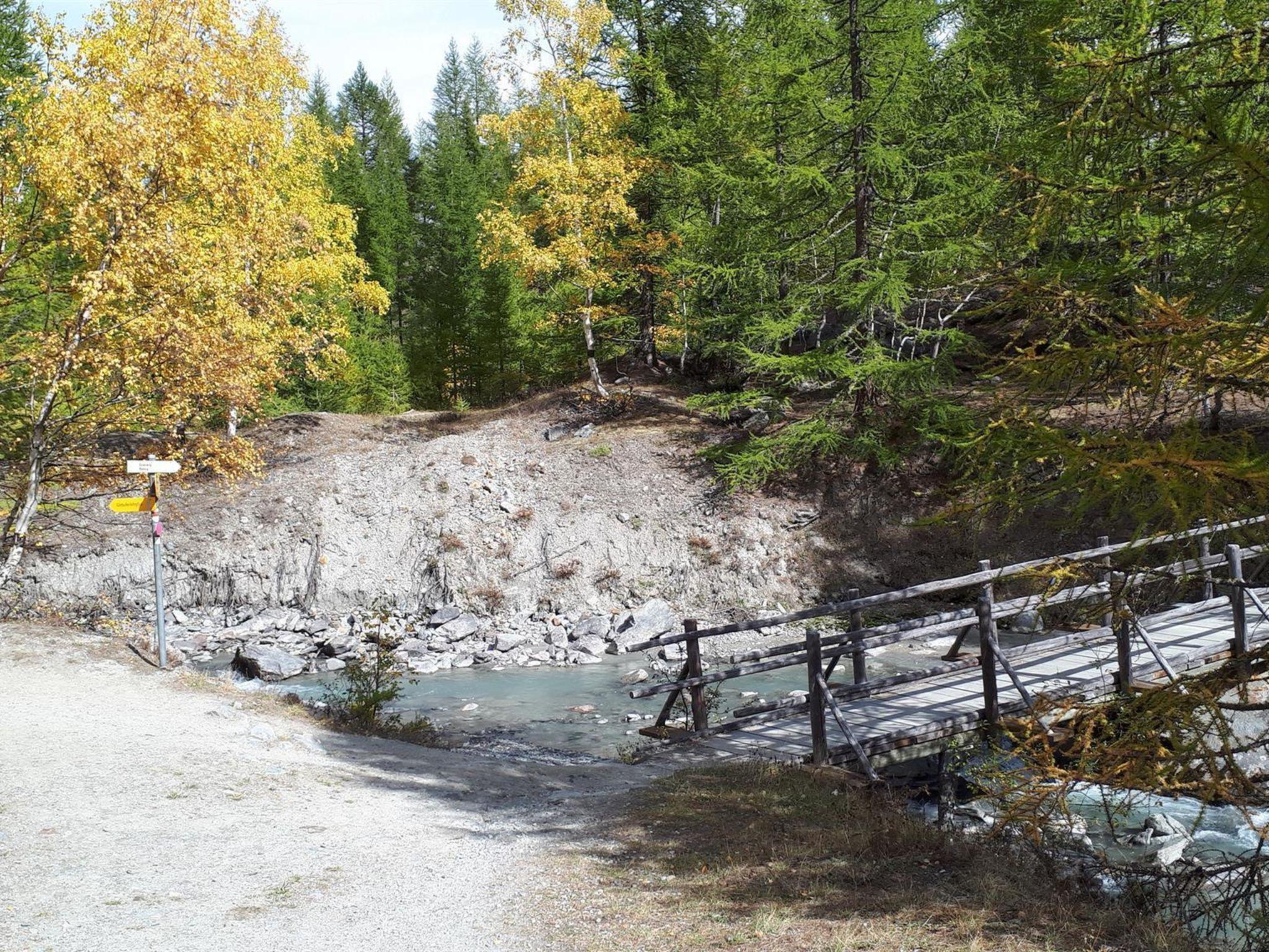 Foto 16 - Appartamento con 1 camera da letto a Saas-Fee