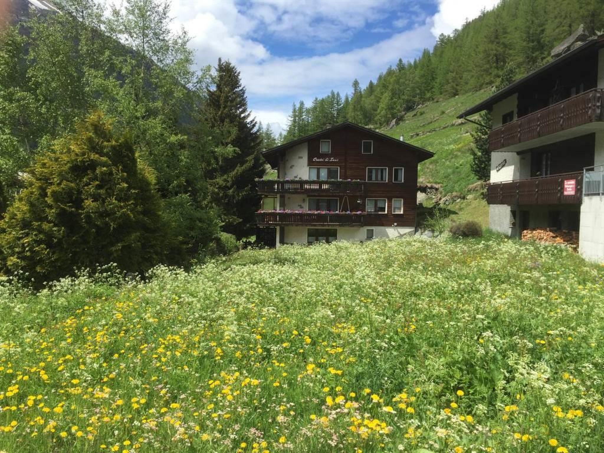 Photo 2 - Appartement de 1 chambre à Saas-Grund avec jardin