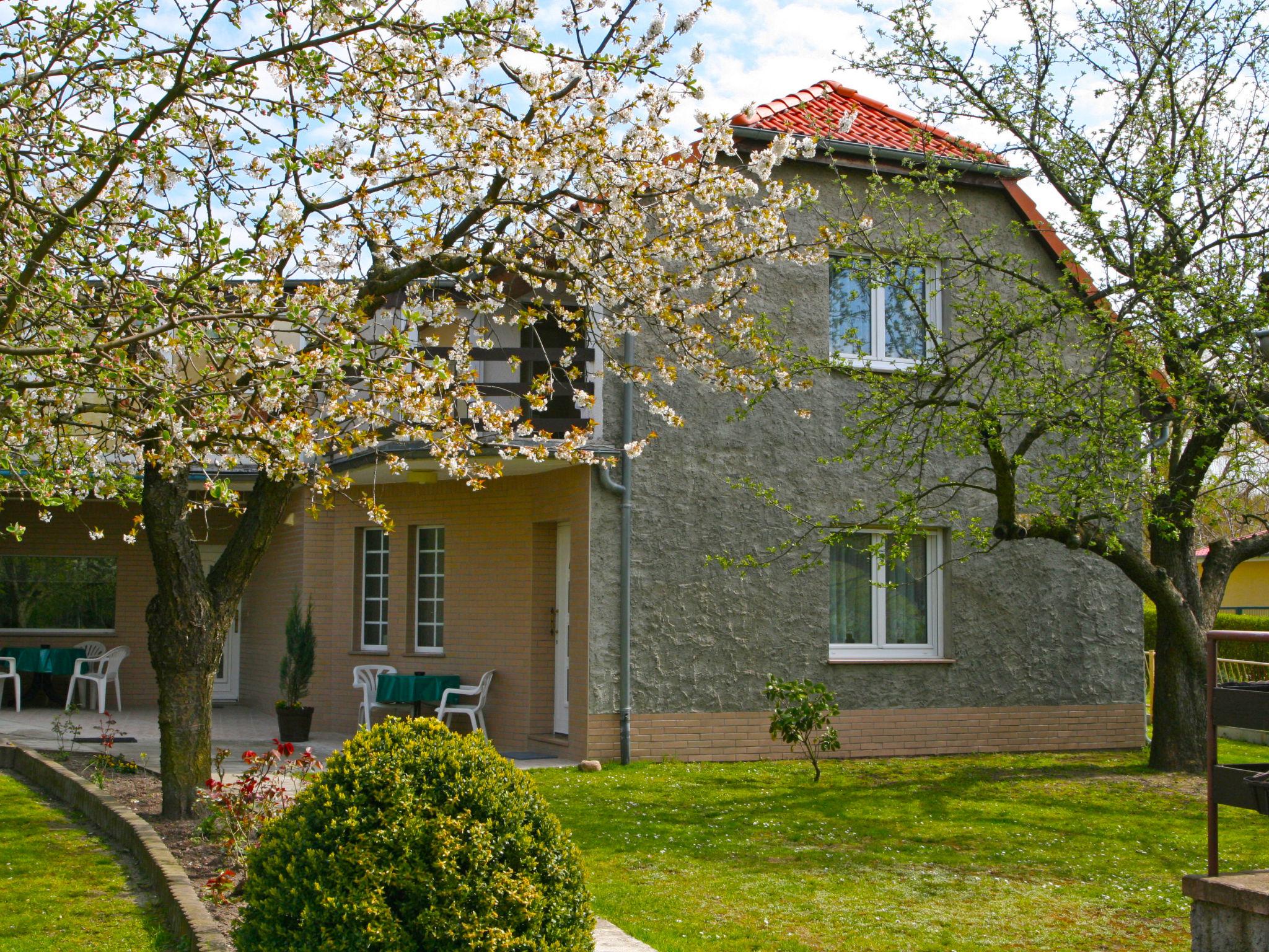 Foto 1 - Casa con 1 camera da letto a Bad Muskau con giardino e terrazza