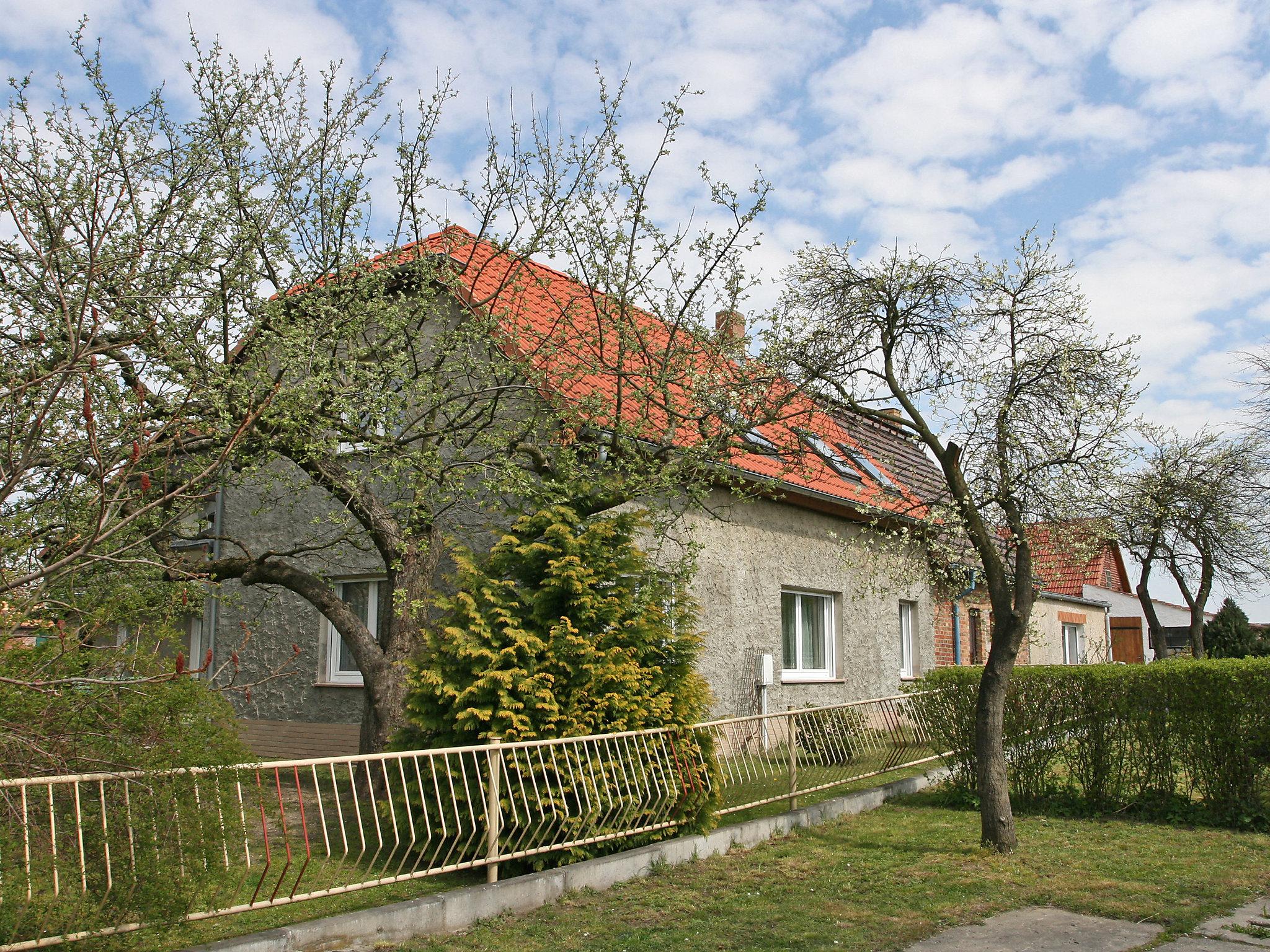 Foto 6 - Haus mit 1 Schlafzimmer in Bad Muskau mit garten und terrasse
