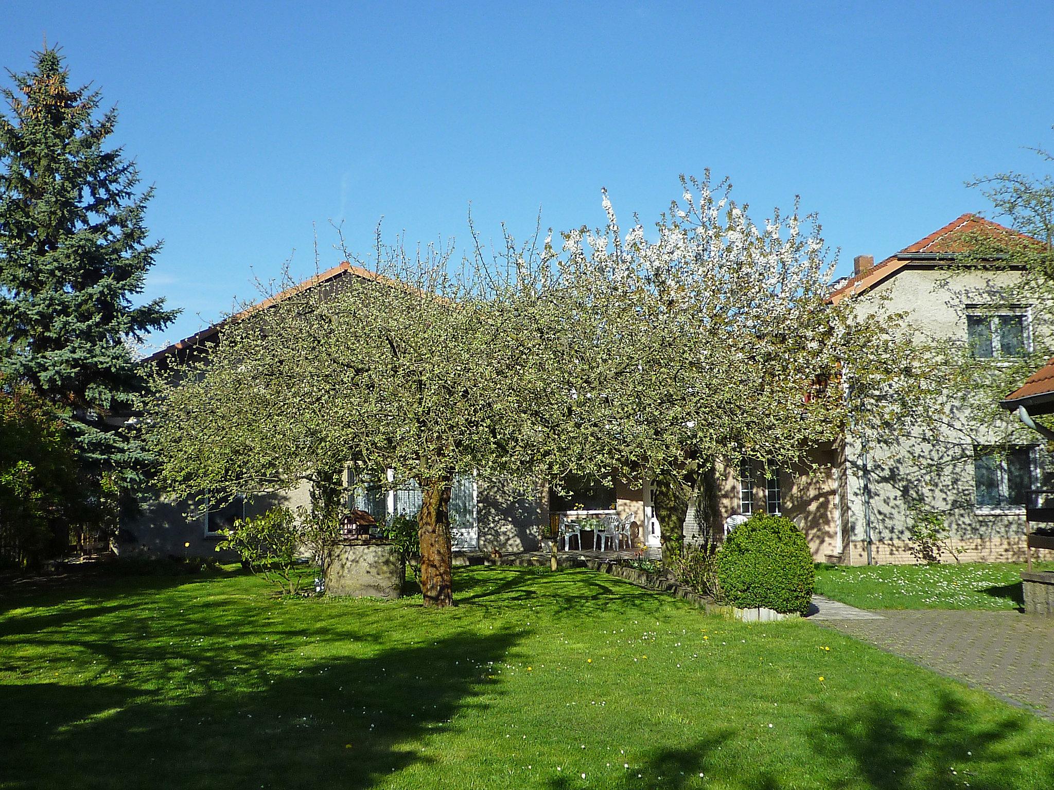 Photo 18 - Maison de 1 chambre à Bad Muskau avec jardin et terrasse