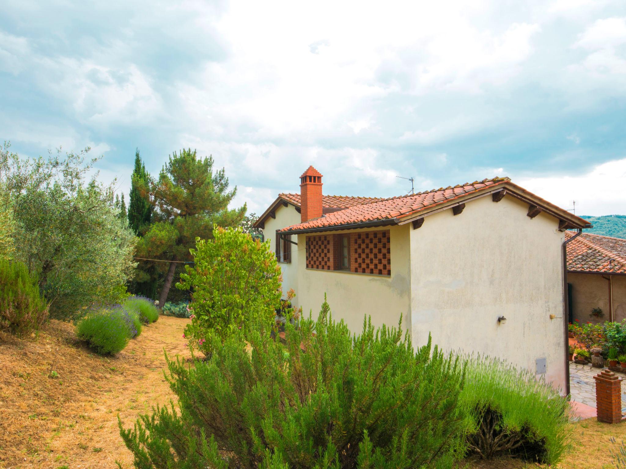 Foto 15 - Casa de 2 habitaciones en Cavriglia con jardín