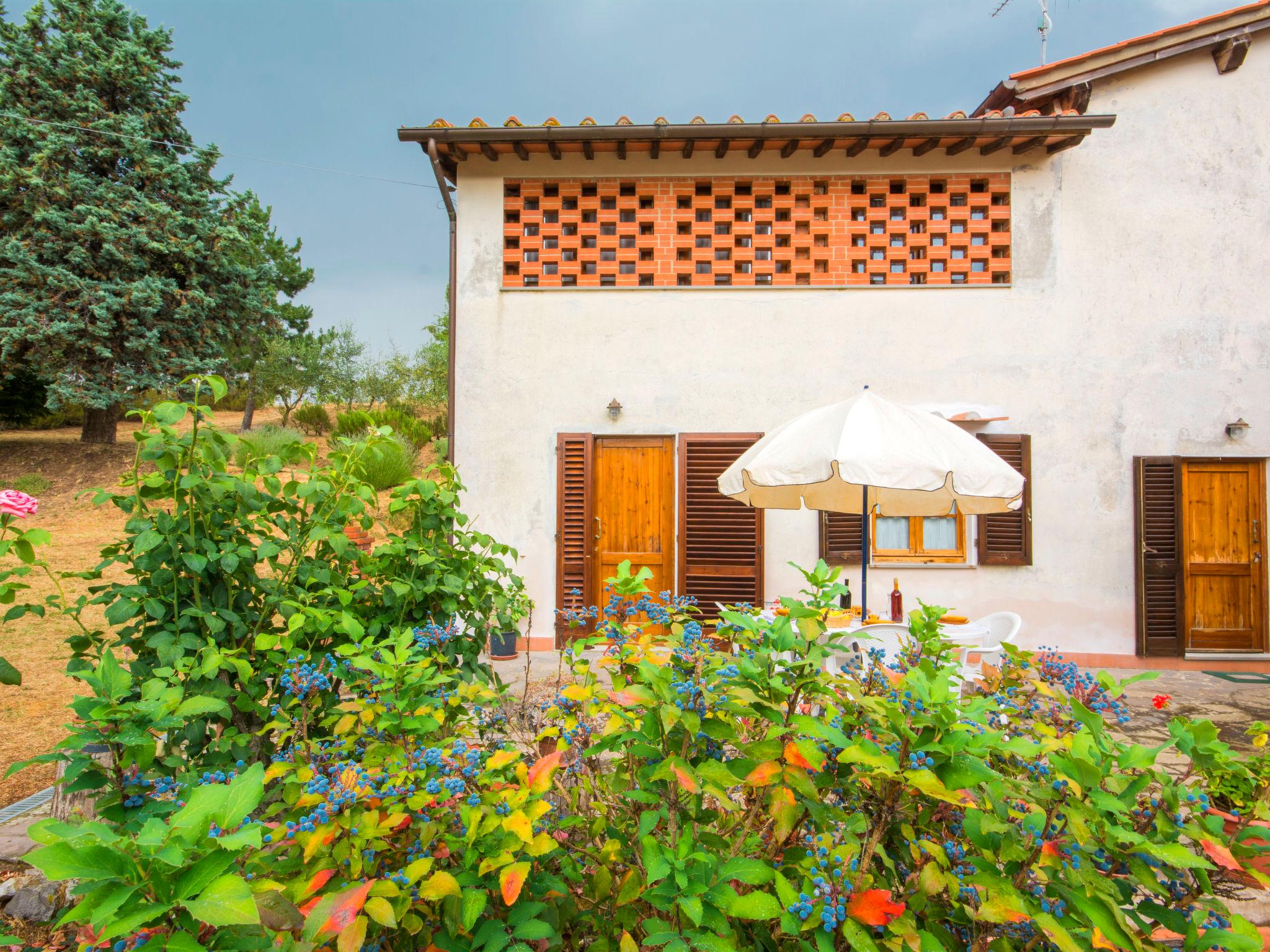 Photo 8 - Maison de 2 chambres à Cavriglia avec jardin