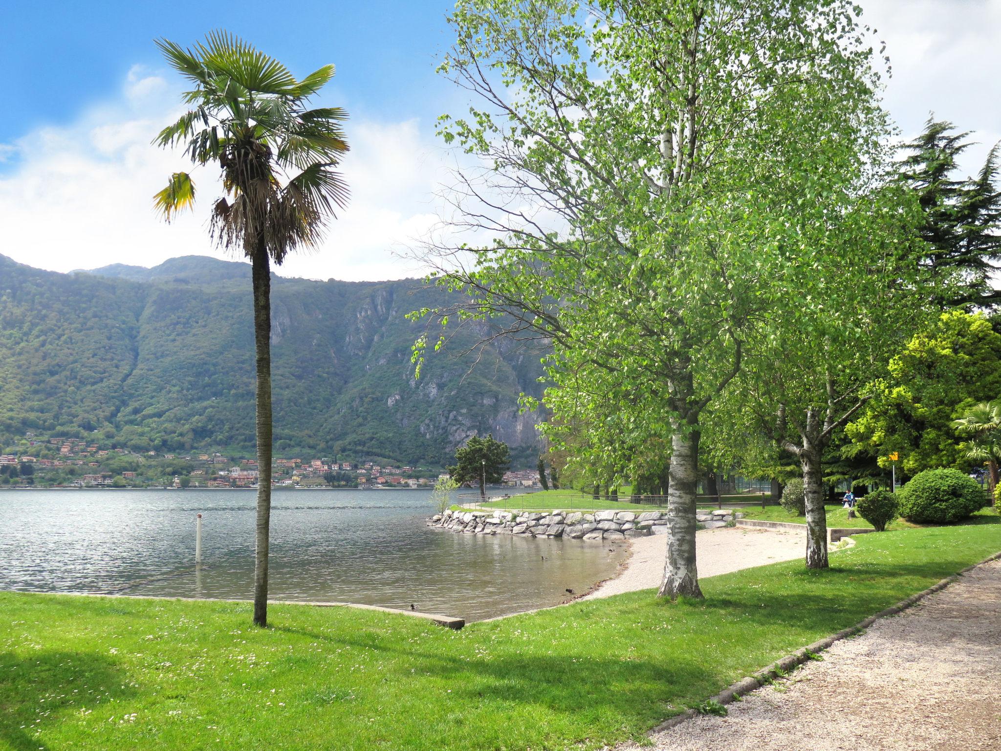 Foto 27 - Casa de 2 quartos em Mandello del Lario com jardim e vista para a montanha