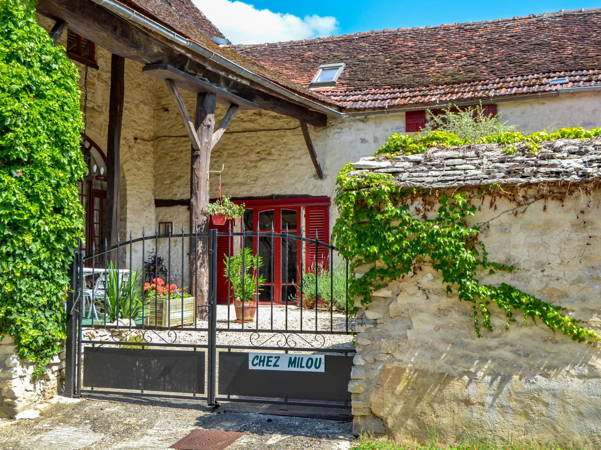 Foto 6 - Haus mit 2 Schlafzimmern in Tanlay mit terrasse