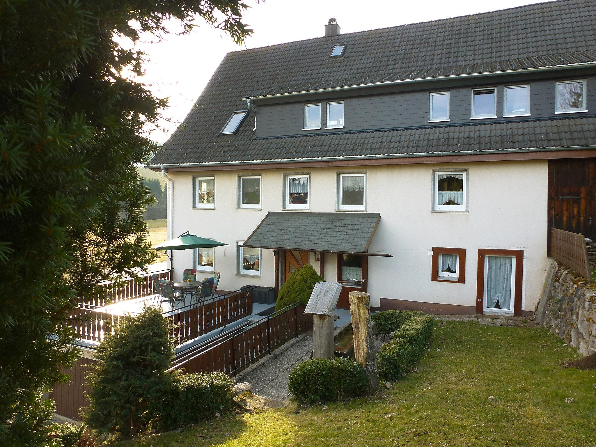 Foto 1 - Apartamento de 2 quartos em Unterkirnach com jardim e vista para a montanha