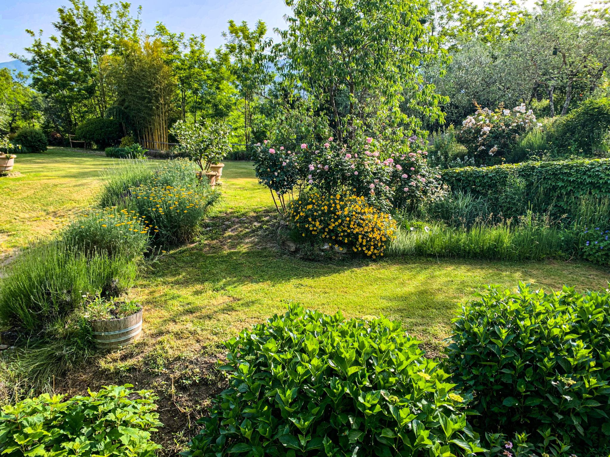 Foto 40 - Haus mit 3 Schlafzimmern in Castelfranco Piandiscò mit privater pool und garten