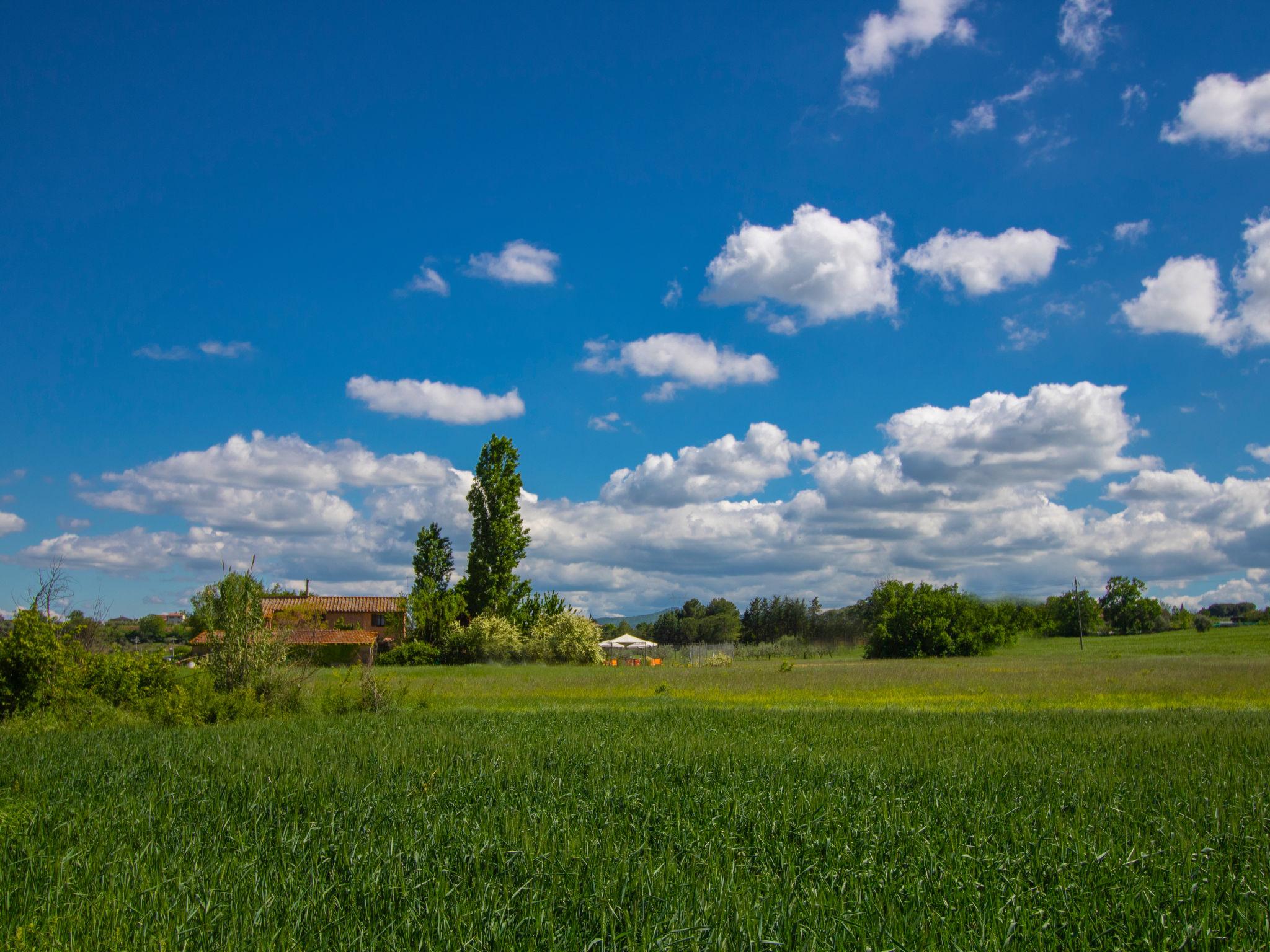 Photo 25 - 3 bedroom House in Castiglione del Lago with private pool and garden