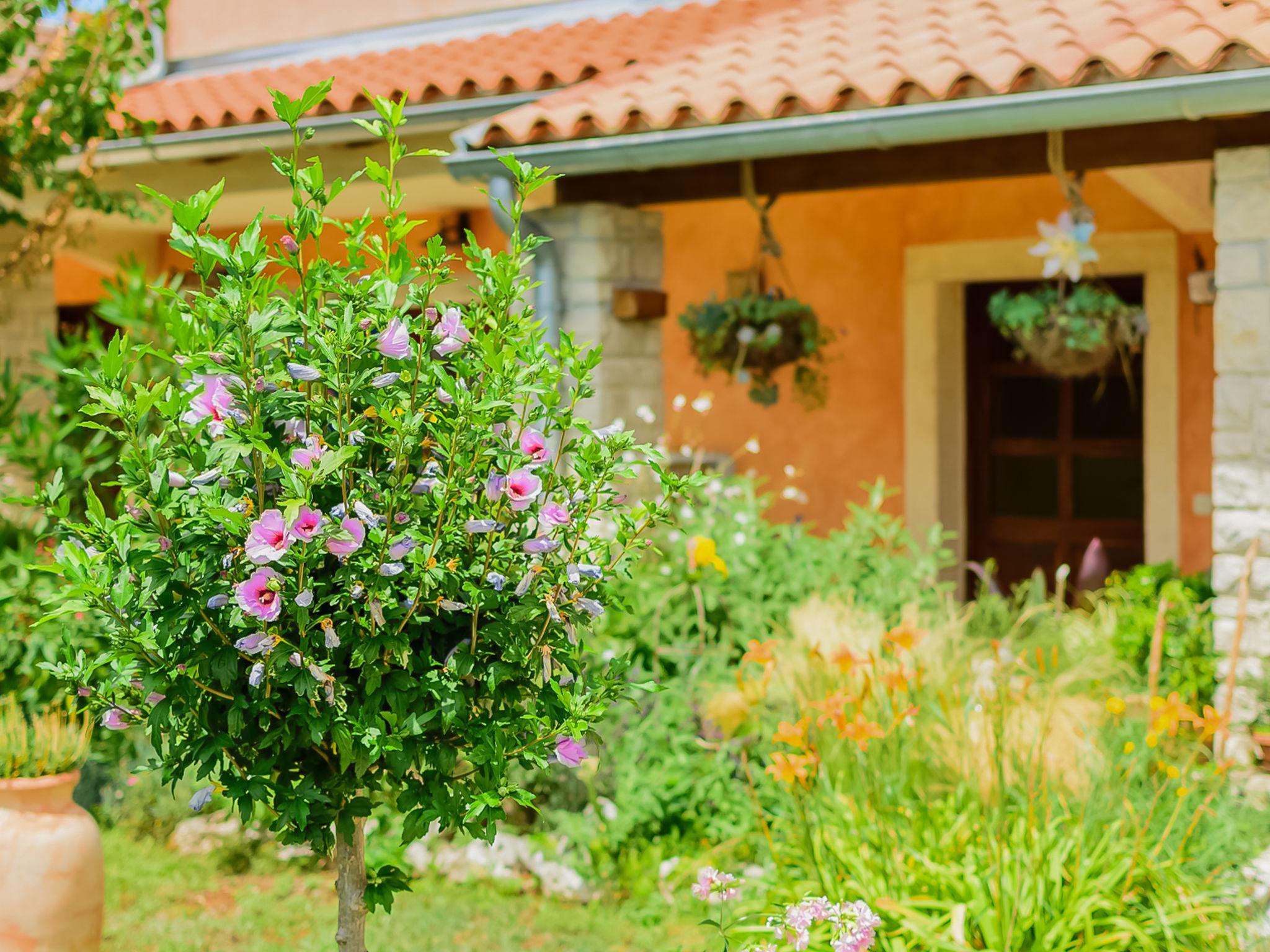 Foto 7 - Haus mit 3 Schlafzimmern in Svetvinčenat mit privater pool und garten