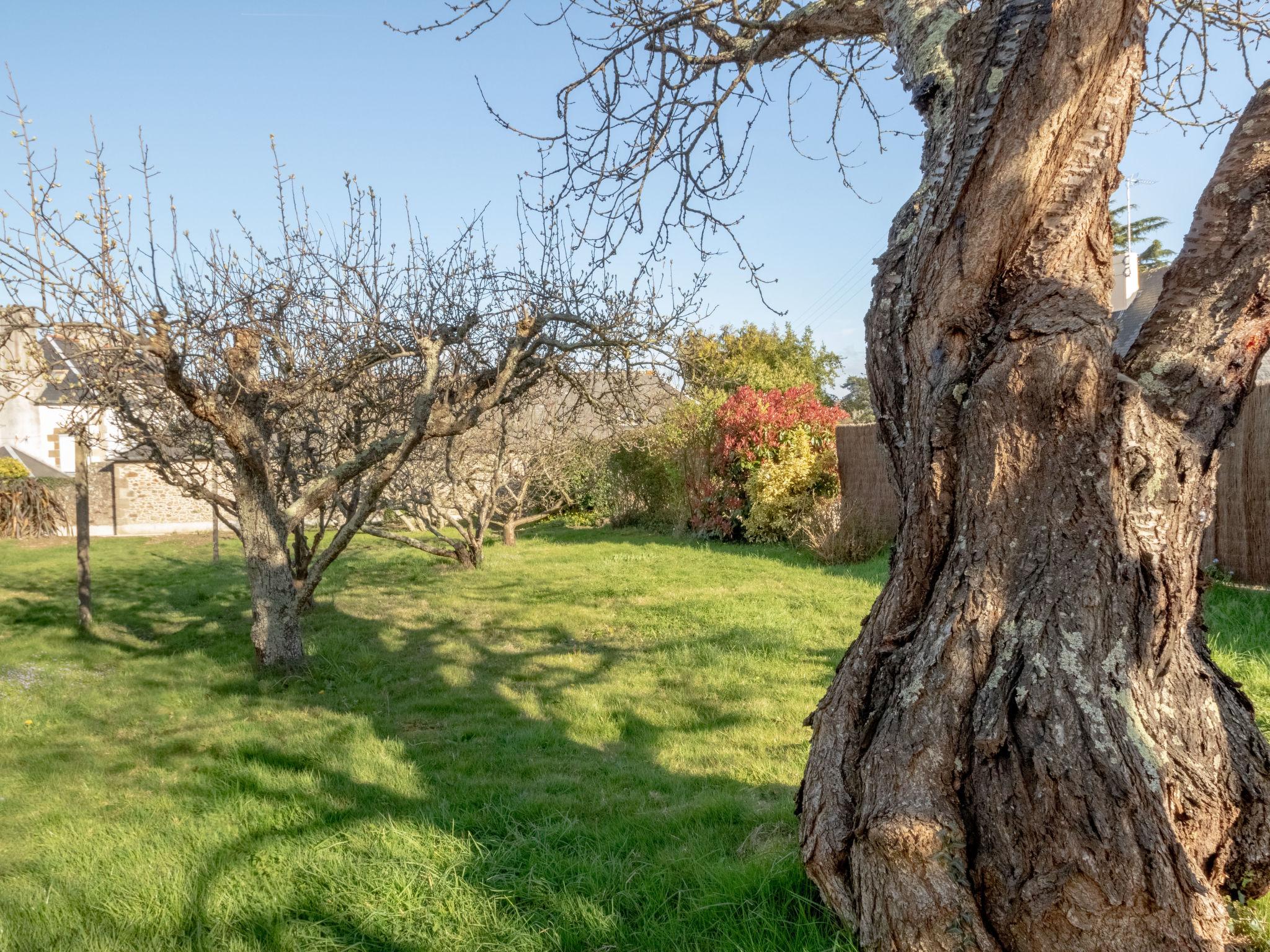 Photo 22 - 2 bedroom House in Dinard with garden and sea view