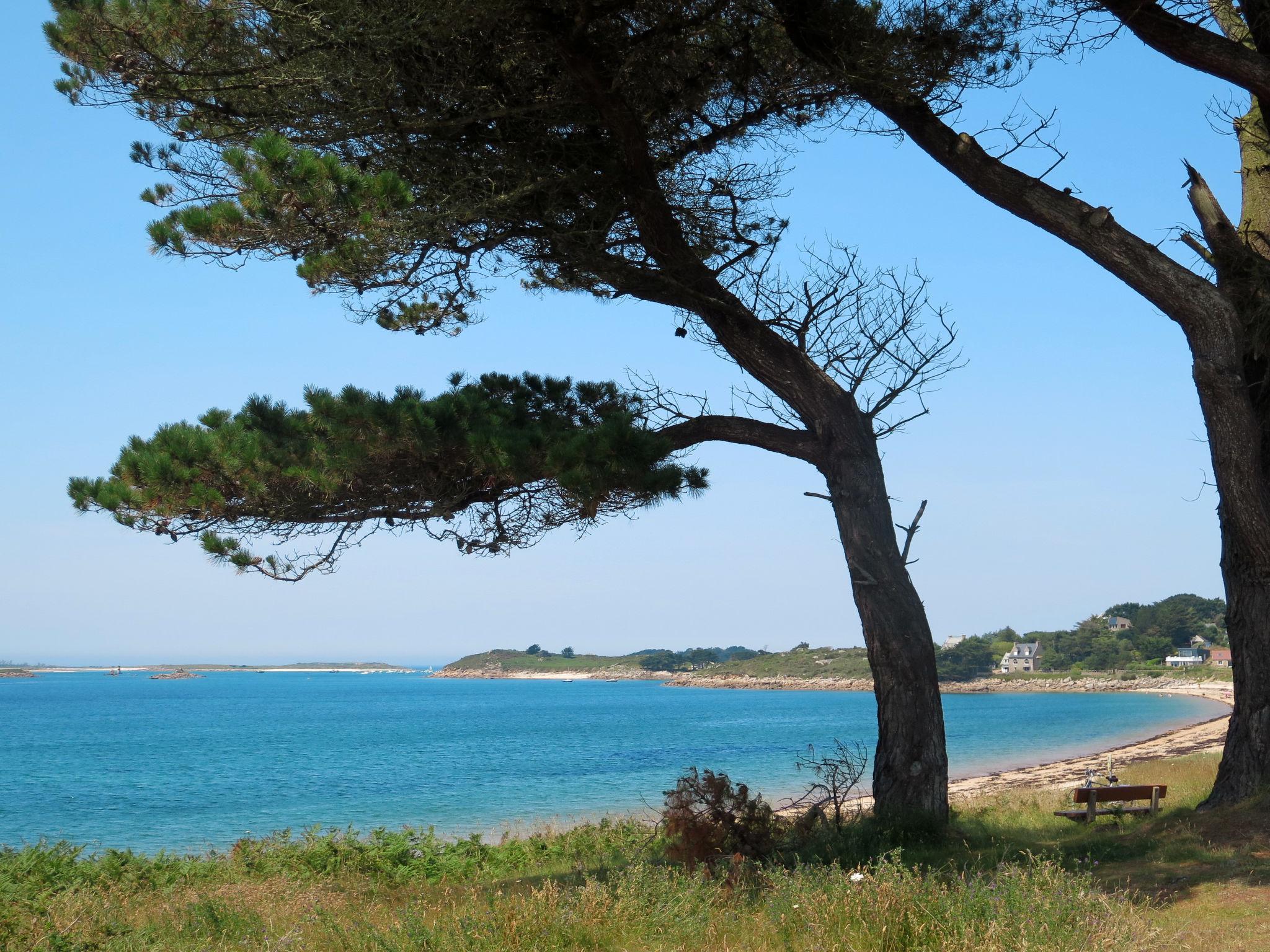 Photo 27 - Maison de 3 chambres à Trébeurden avec jardin et vues à la mer