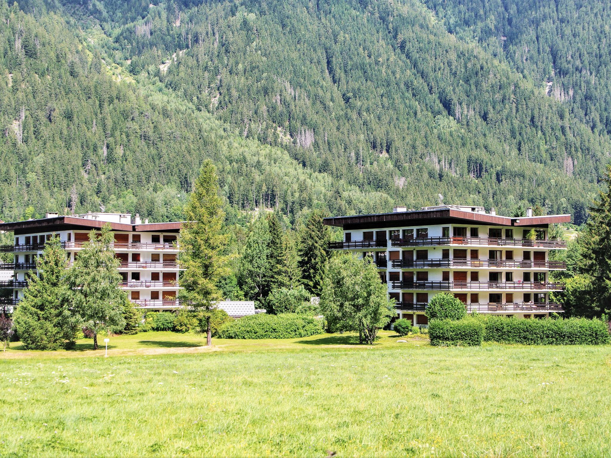 Foto 17 - Apartment mit 2 Schlafzimmern in Chamonix-Mont-Blanc mit blick auf die berge